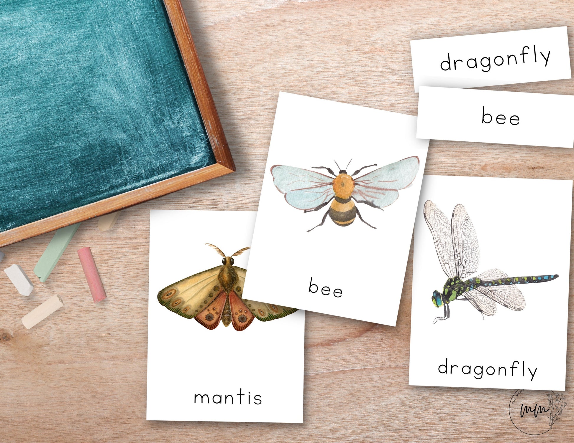 INSECT Nomenclature 3 Part Montessori Spring Flash Cards Printable PDF