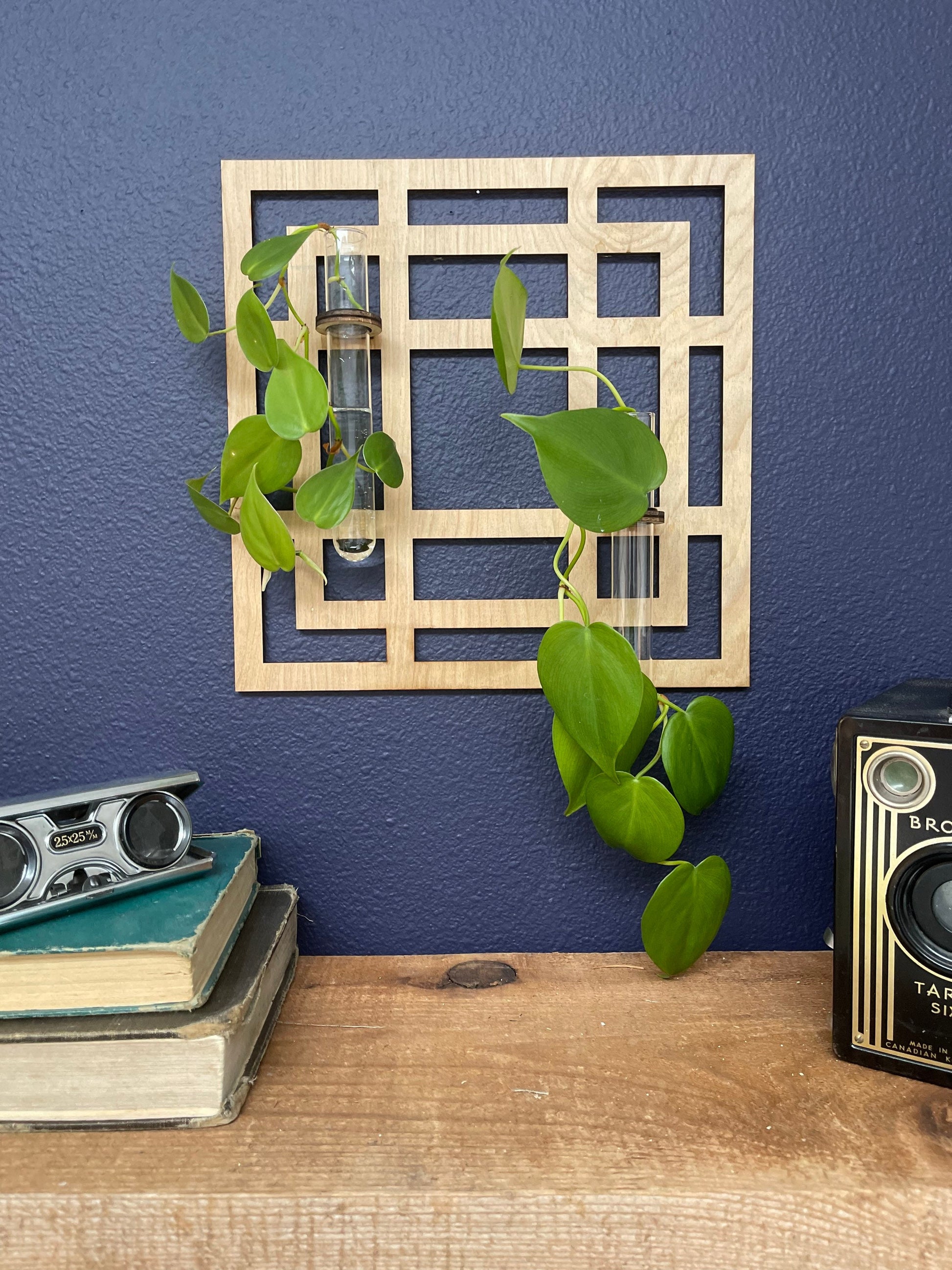Wood Wall decor Geo Square Propagation station / Mountain / Wall planter indoor / Hanging planter/ Gifts for her for plant lovers Plant Wall