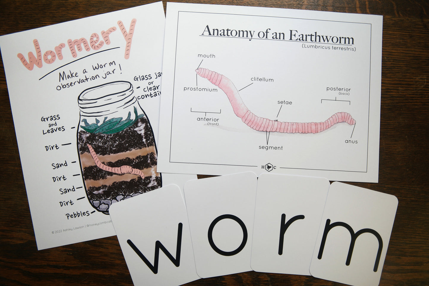 Anatomy of a Worm and Wormery activity with record | Charlotte Mason Nature Educational Printable