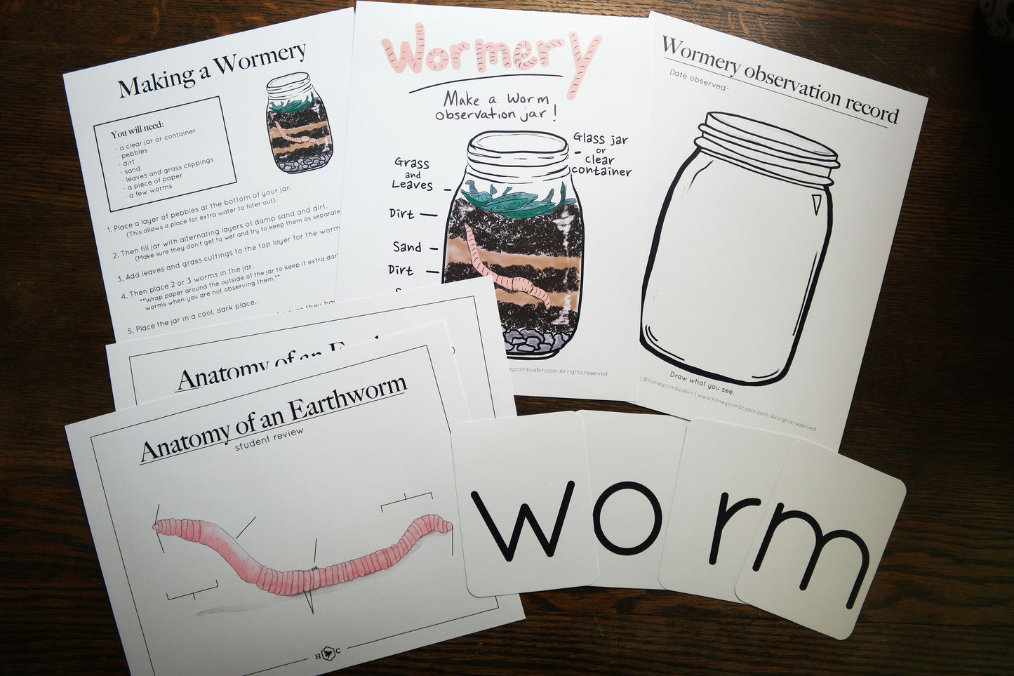 Anatomy of a Worm and Wormery activity with record | Charlotte Mason Nature Educational Printable