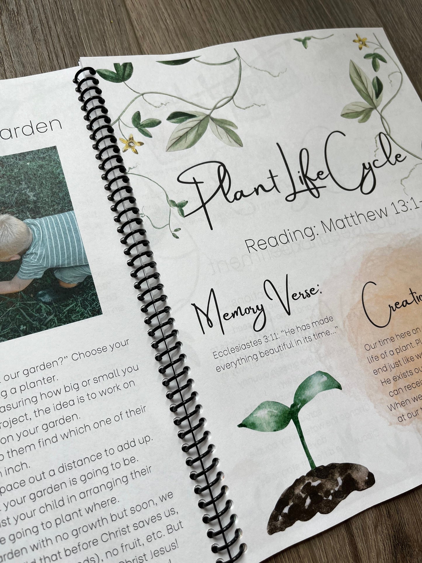 Garden unit study, Gospel for kids, unit study, Garden school, homeschool curriculum, nature study, morning basket, nature school unit study