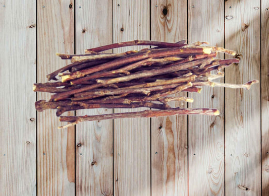 Black Cherry Tree Cuttings: Prunus Serotina Scions, Grafting