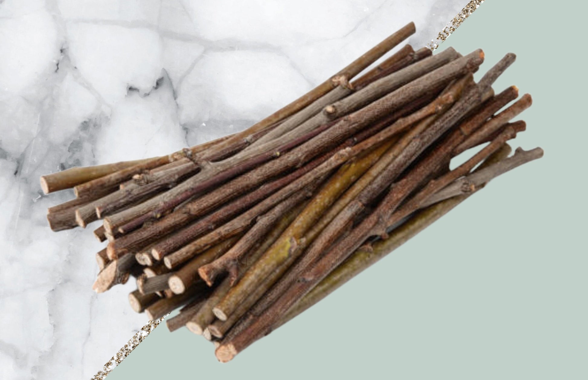 Black Cherry Tree Cuttings: Prunus Serotina Scions, Grafting