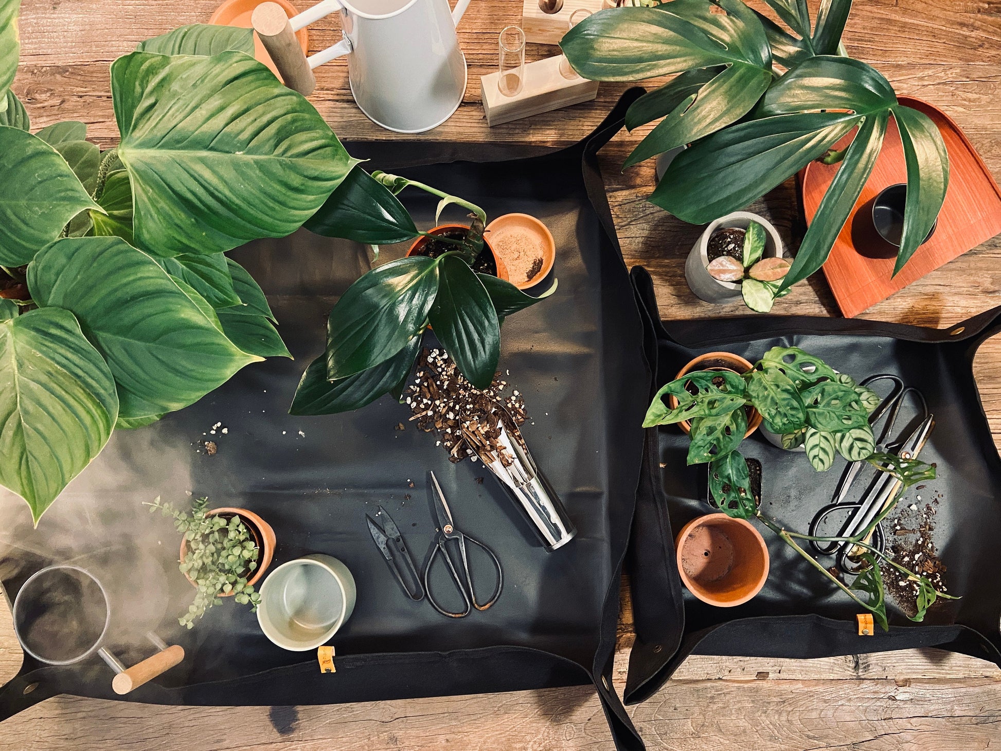 Plant Mat & Pruners for Repotting / Potting Tarp | Gardening essentials and must-have plant tools and accessories | 2 sizes available