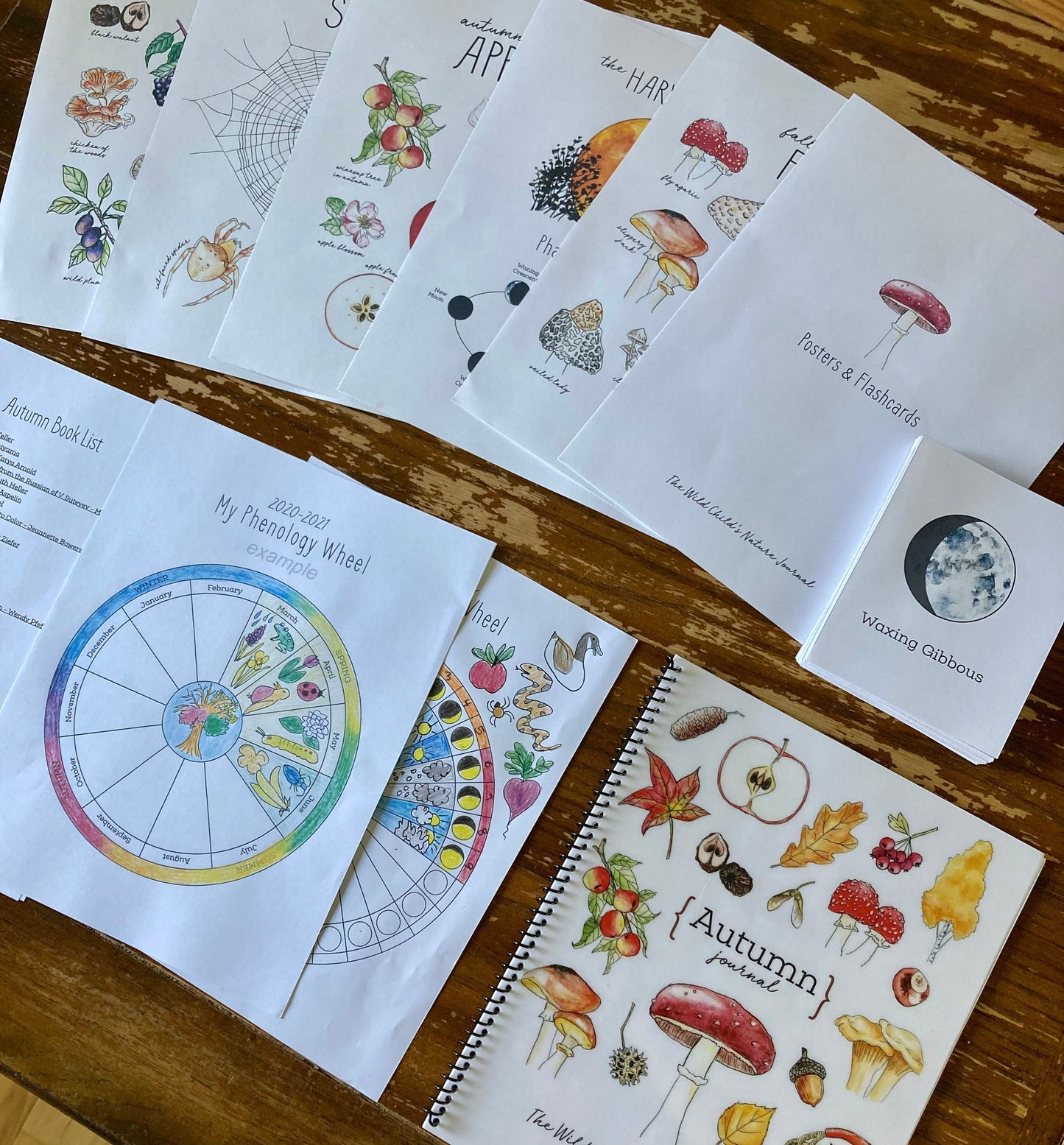 Nature Journal BUNDLE