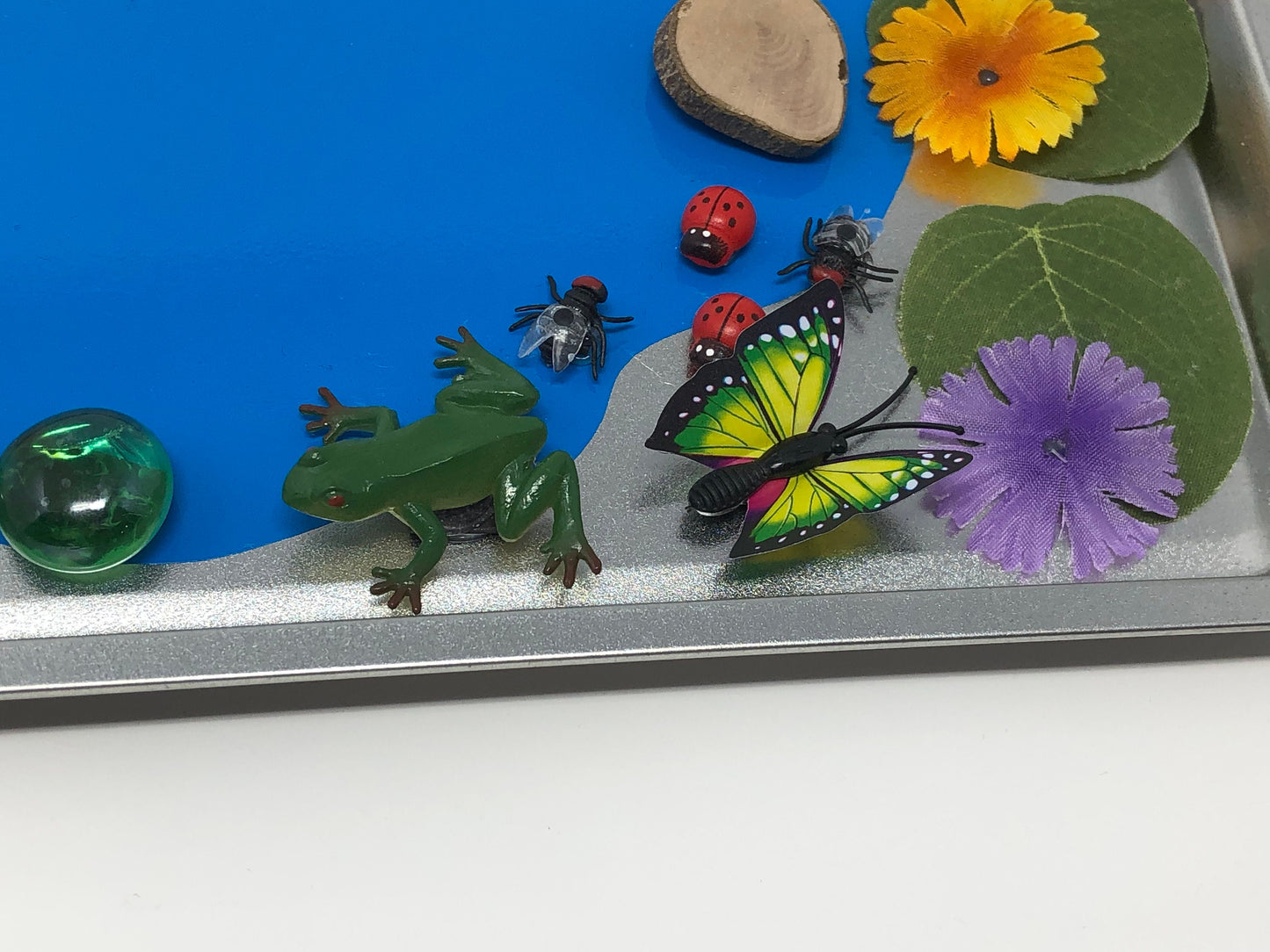 Magnetic Sensory Board- Pond-