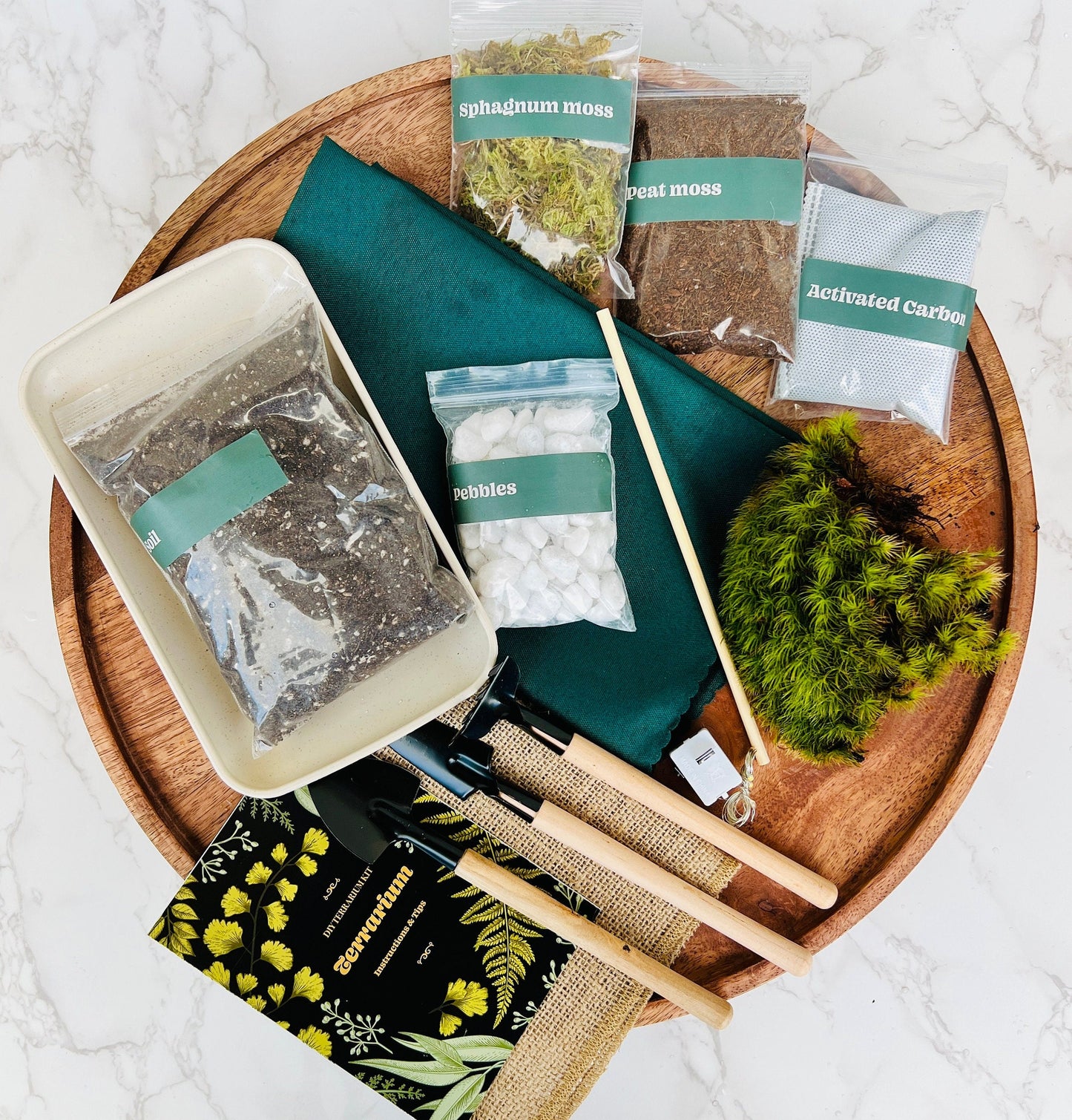 Complete Closed terrarium kit with live plants and live moss, bioactive terrarium, sealed terrarium kit / science kit for kids, mothers day