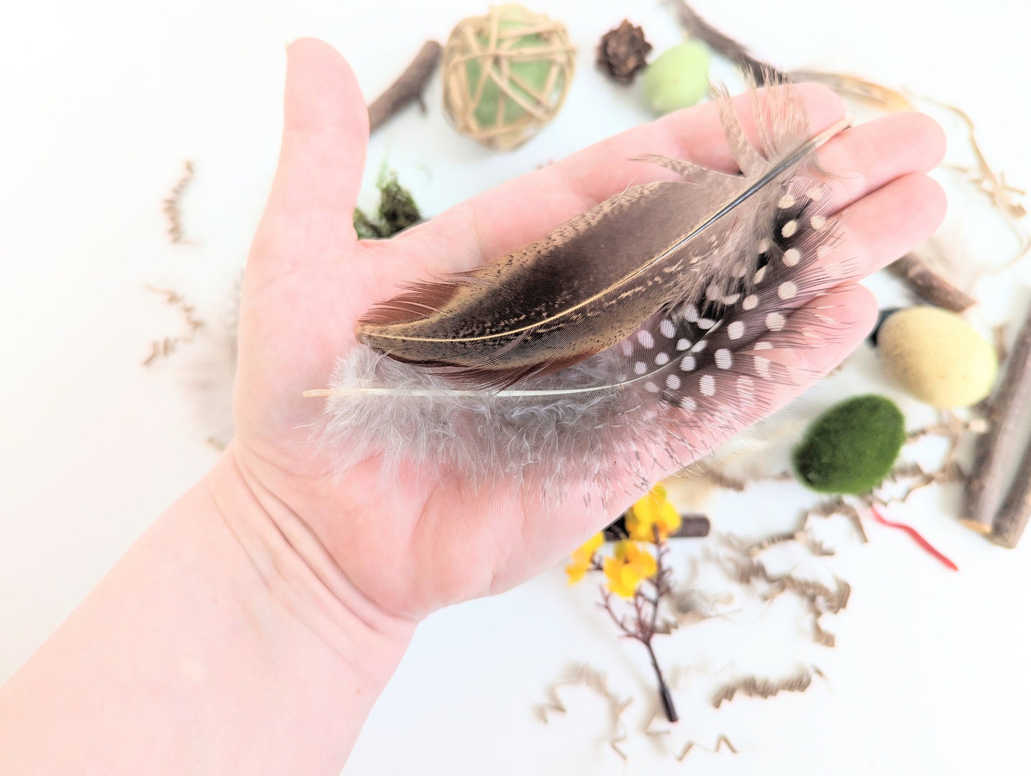Bird Themed Sensory Box Loose Parts Play Tinker Tray Montessori
