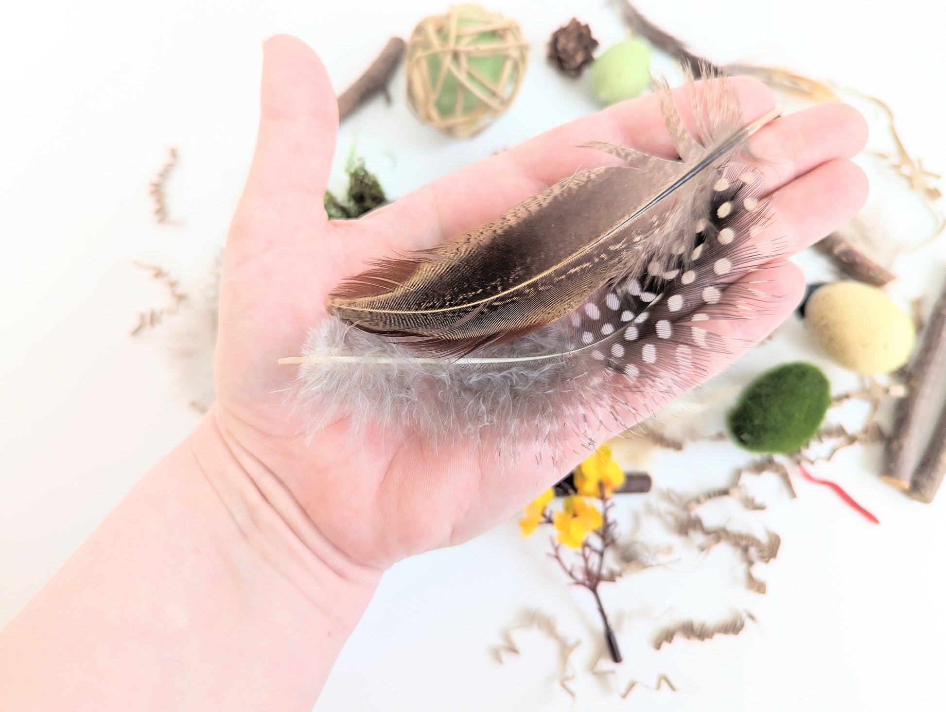 Bird Themed Sensory Box Loose Parts Play Tinker Tray Montessori