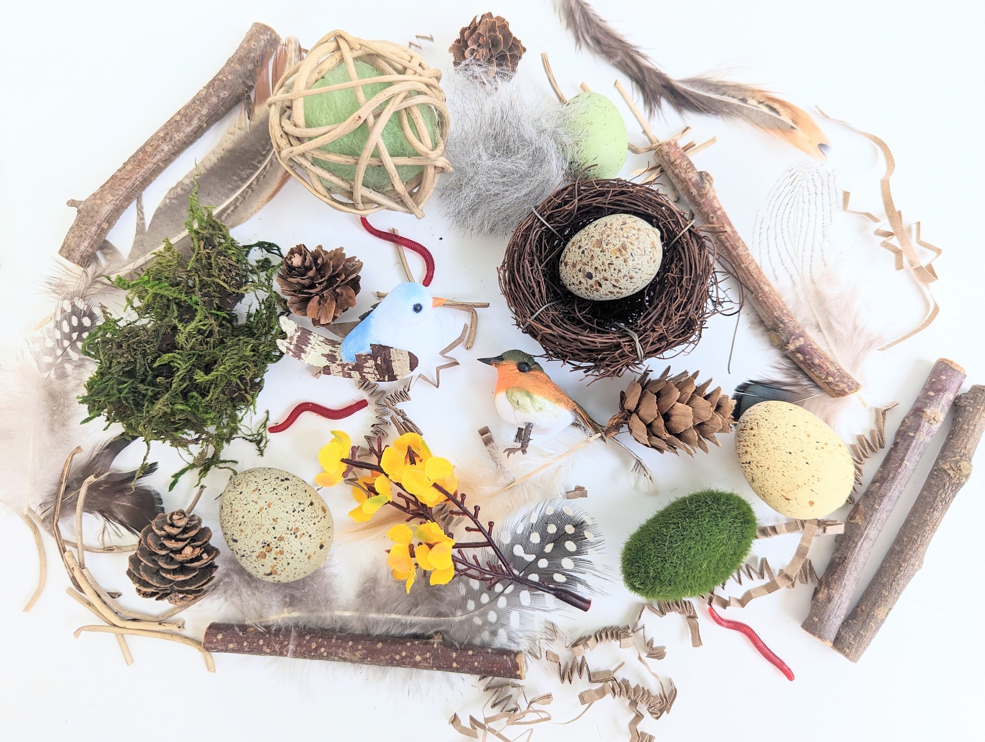 Bird Themed Sensory Box Loose Parts Play Tinker Tray Montessori