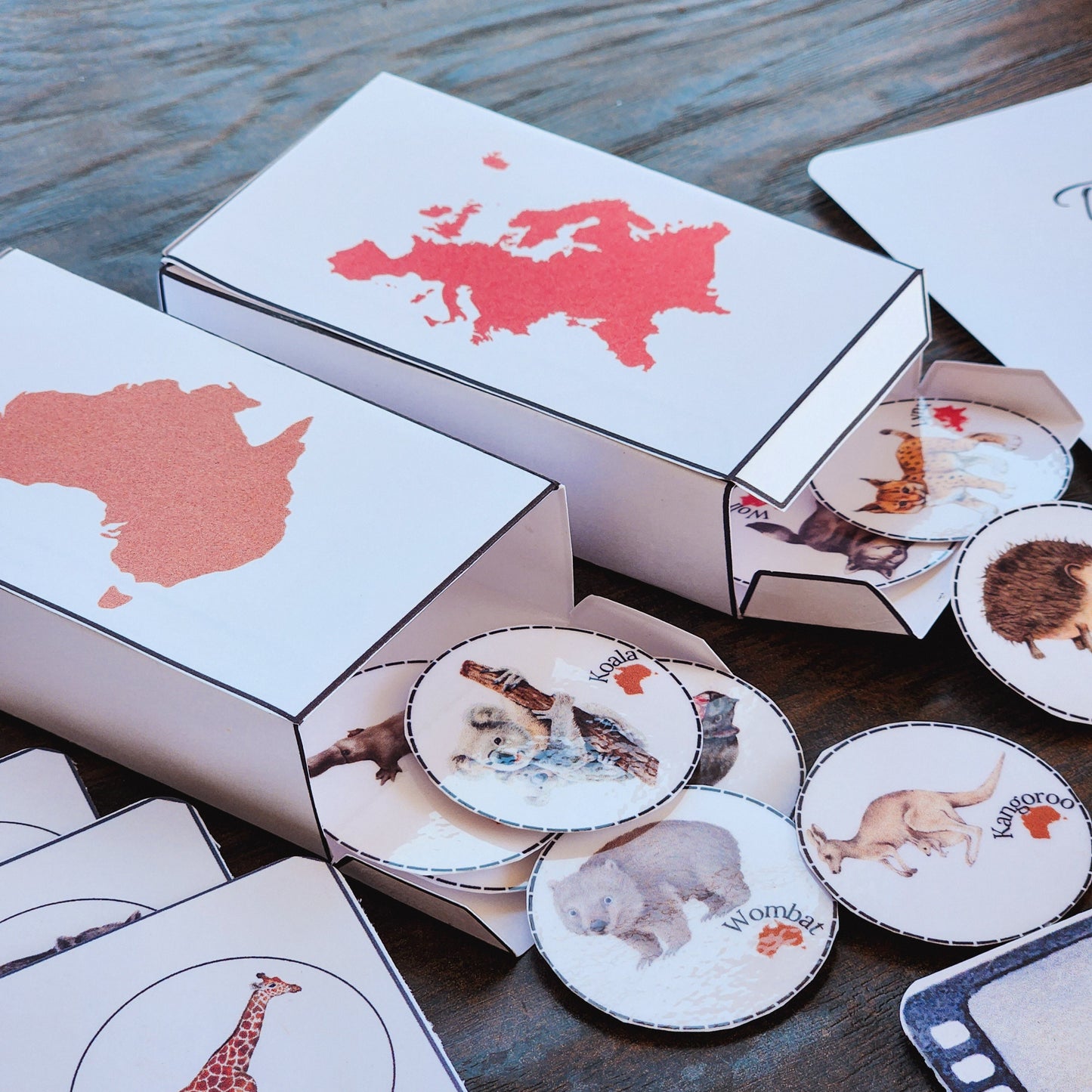 Continents Printable Pack: Montessori Homeschool Learning