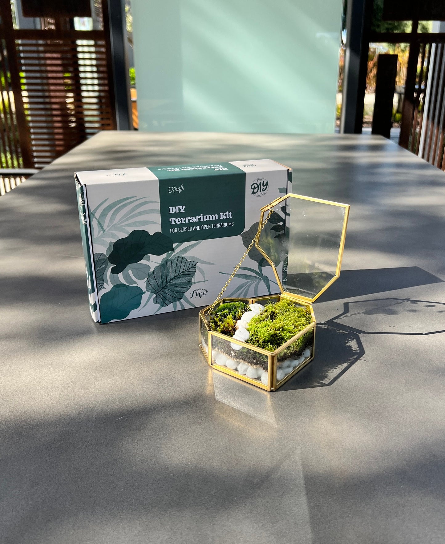 Fresh Moss Terrarium Kit: Golden Wardian Case, Live Plants (VIDEO INSTRUCTIONS)