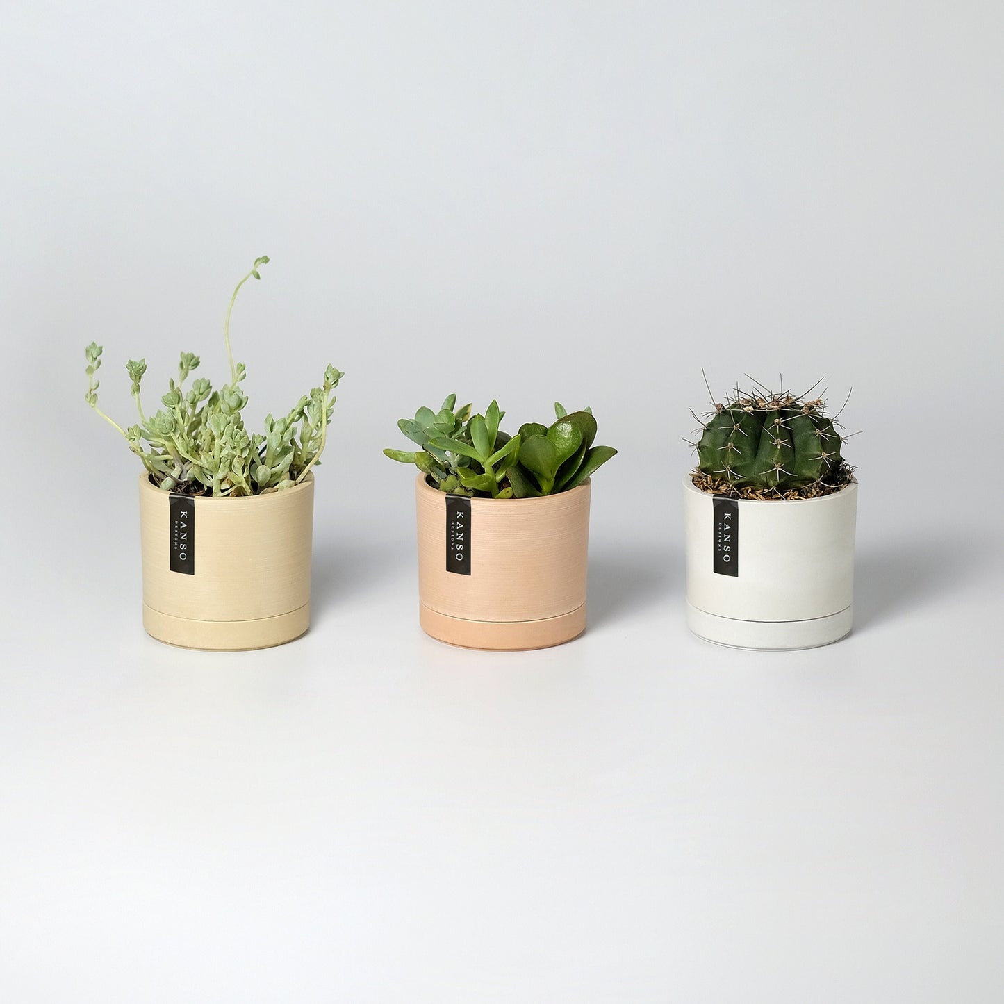 3" Mini Planters | Set of 3 Planters with Drainage Hole & Saucers | Small Cactus Planter | Ceramic Imitation | Indoor Planter Houseplant Pot