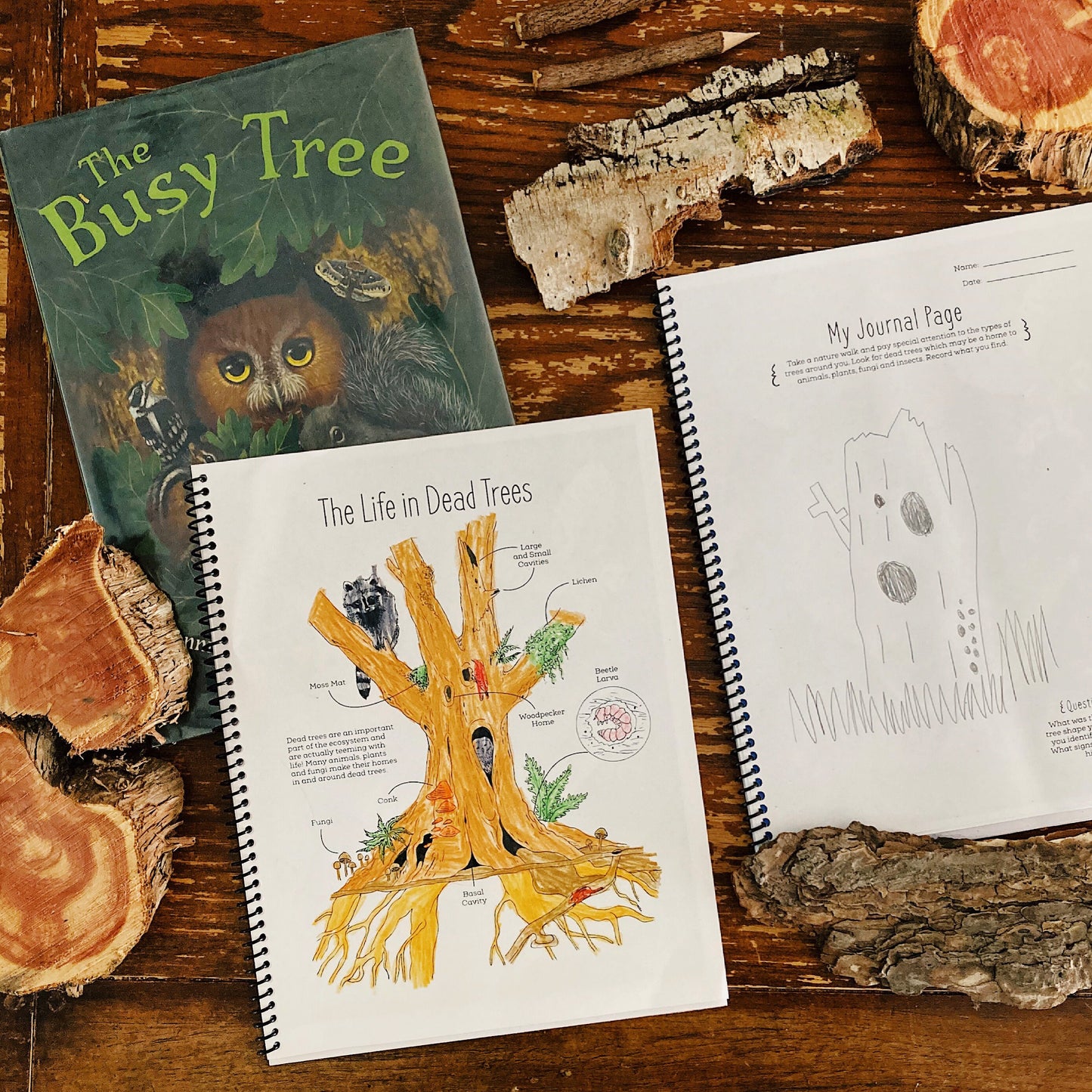Tree Nature Study BUNDLE - Charlotte Mason, Unit Study