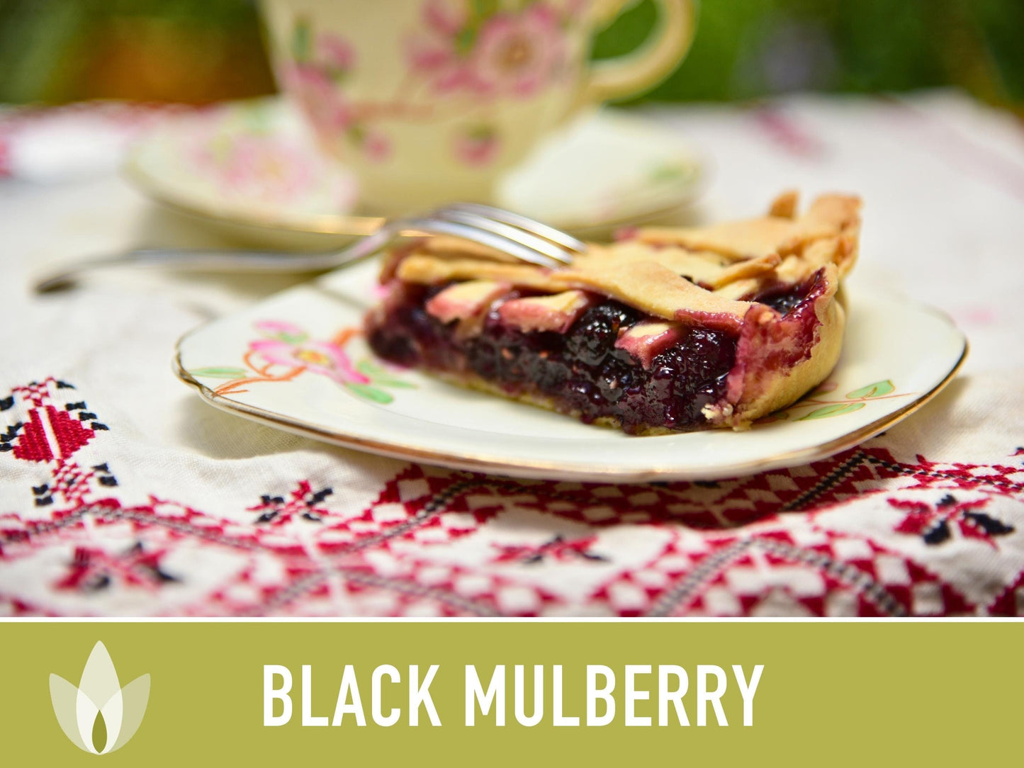 Black Mulberry Seeds - Heirloom Seeds, Dark & Sweet Fruit, Sacred Medicinal Tree, Morus Nigra, Open Pollinated, Non-GMO