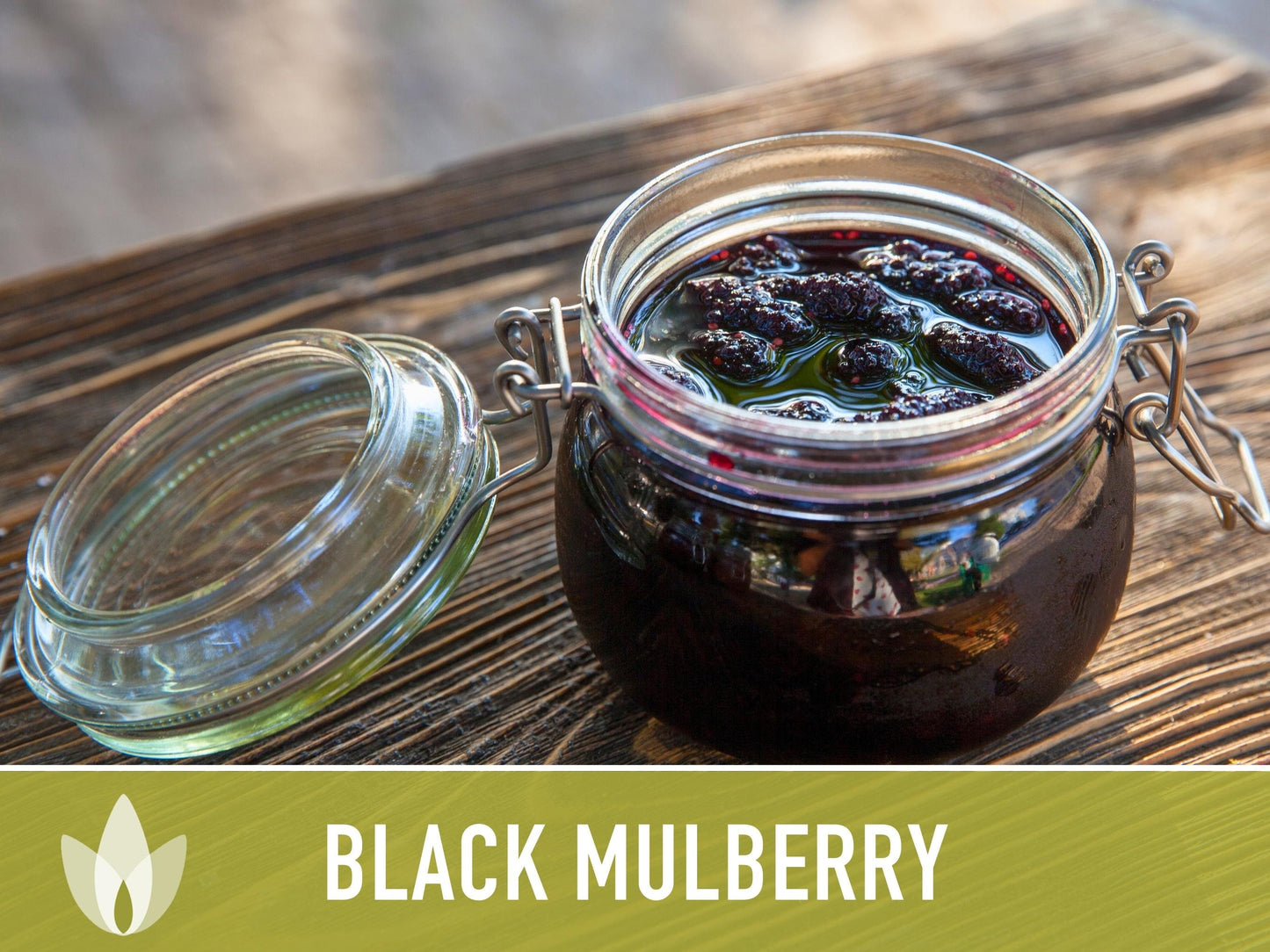 Black Mulberry Seeds - Heirloom Seeds, Dark & Sweet Fruit, Sacred Medicinal Tree, Morus Nigra, Open Pollinated, Non-GMO