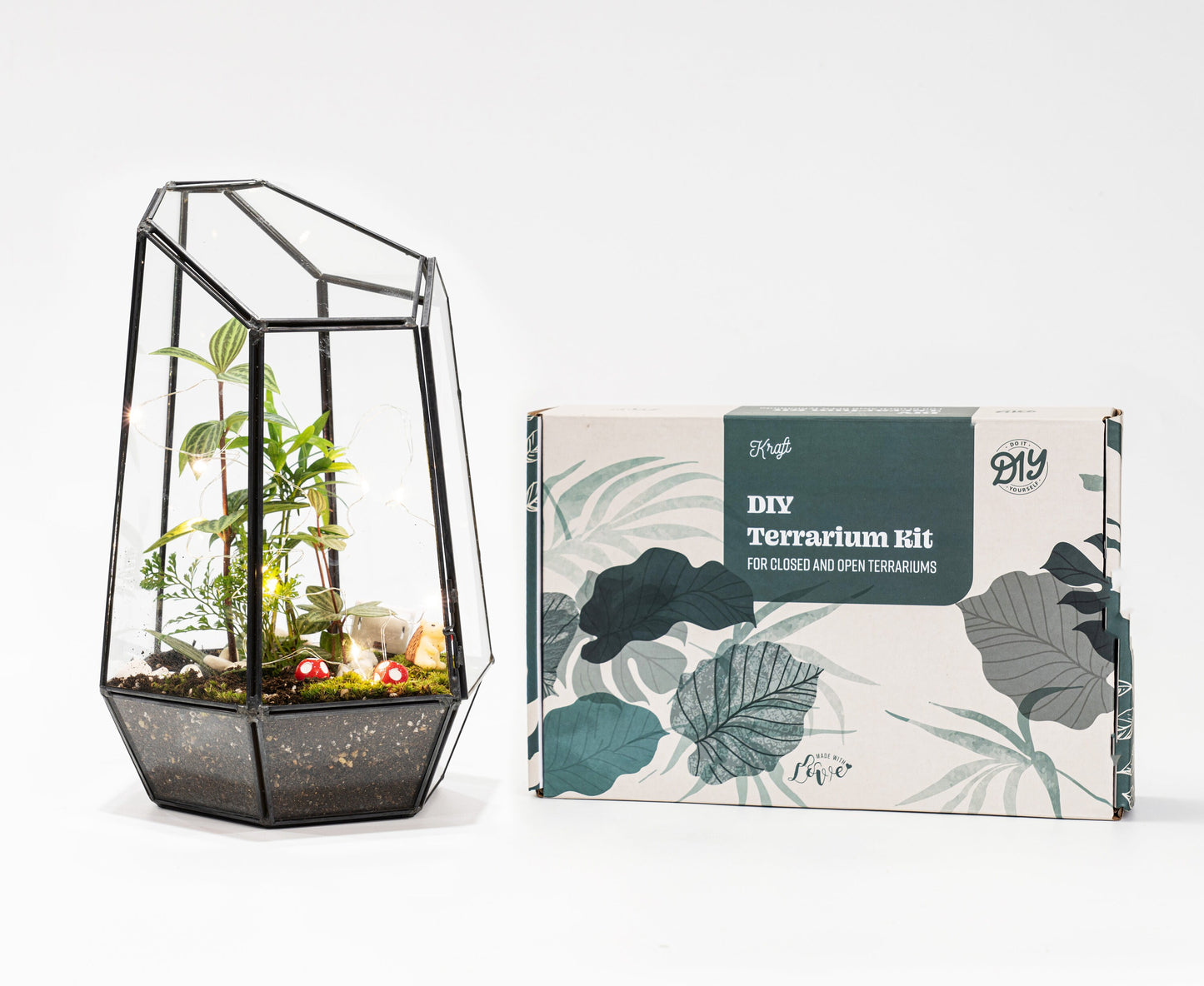 Large Terrarium Kit DIY / live Moss / Tropical Plant, bioactive terrarium, Holiday, birthday gift, Halloween gift, stem kit for kids