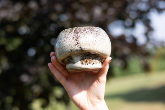 Mushroom Planting Pot