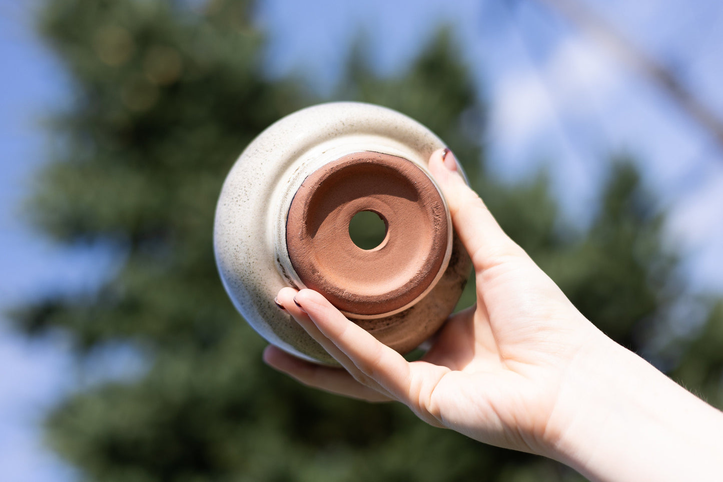 Mushroom Planting Pot