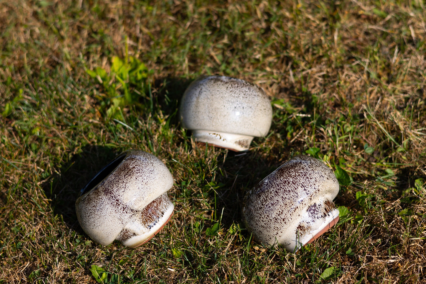 Mushroom Planting Pot