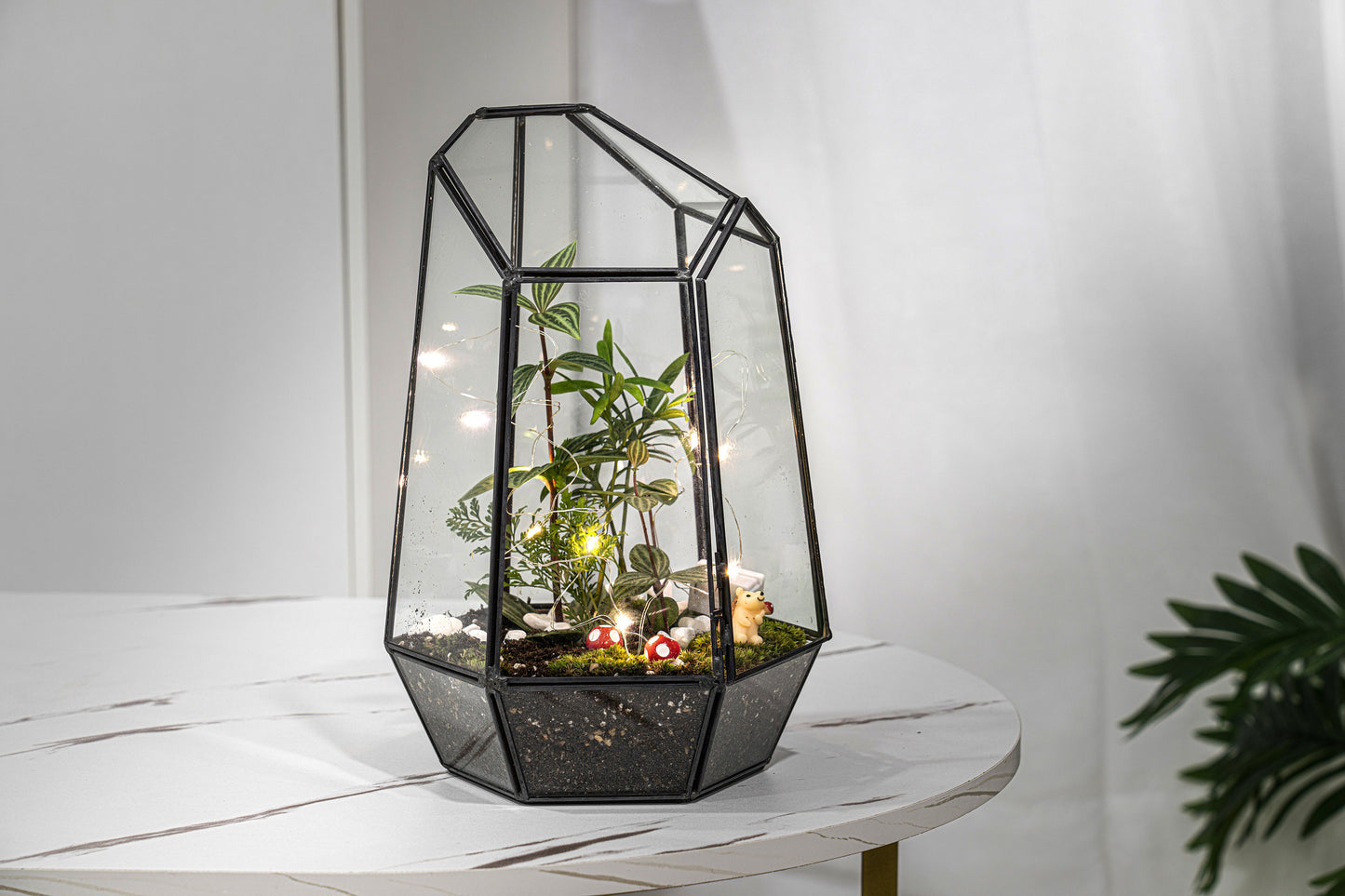 Large Terrarium Kit DIY / live Moss / Tropical Plant, bioactive terrarium, Holiday, birthday gift, Halloween gift, stem kit for kids