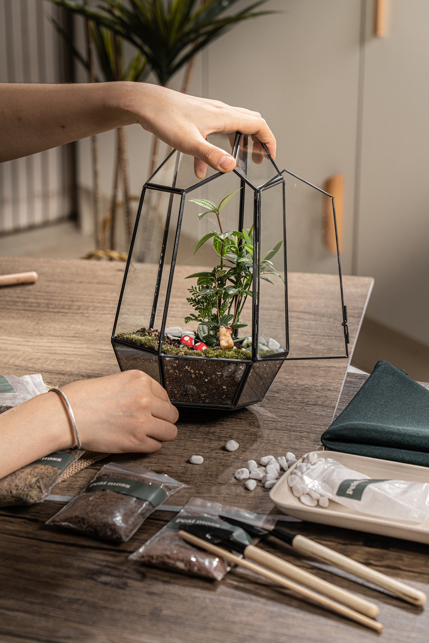 Large Terrarium Kit DIY / live Moss / Tropical Plant, bioactive terrarium, Holiday, birthday gift, Halloween gift, stem kit for kids