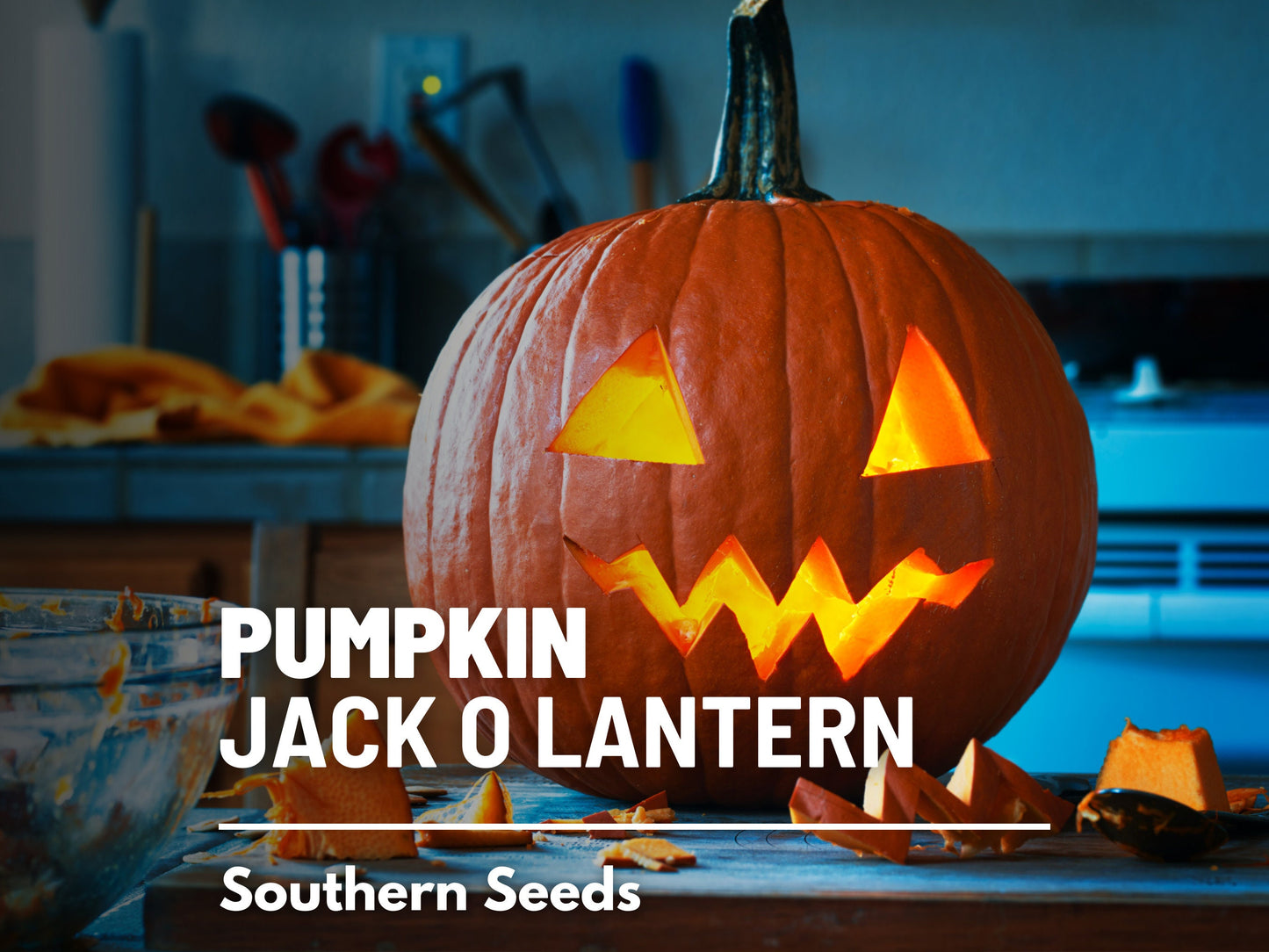 Jack O’Lantern Pumpkin Seeds – Heirloom Vegetable, Classic Carving Pumpkin, Non-GMO, Ideal for Halloween Decorations | 20 Seeds