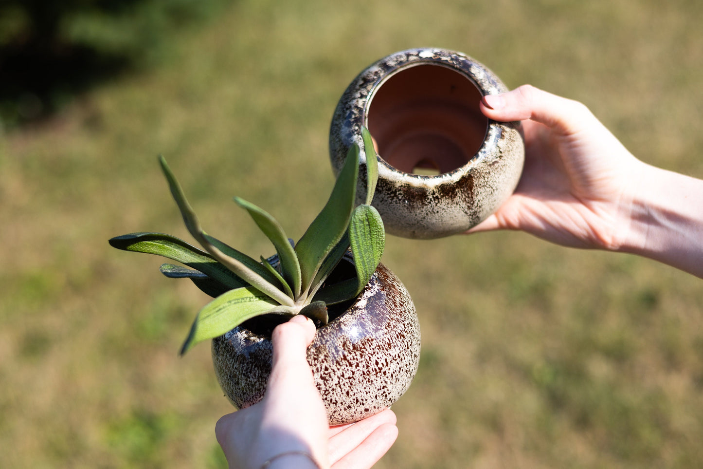Mushroom Planting Pot