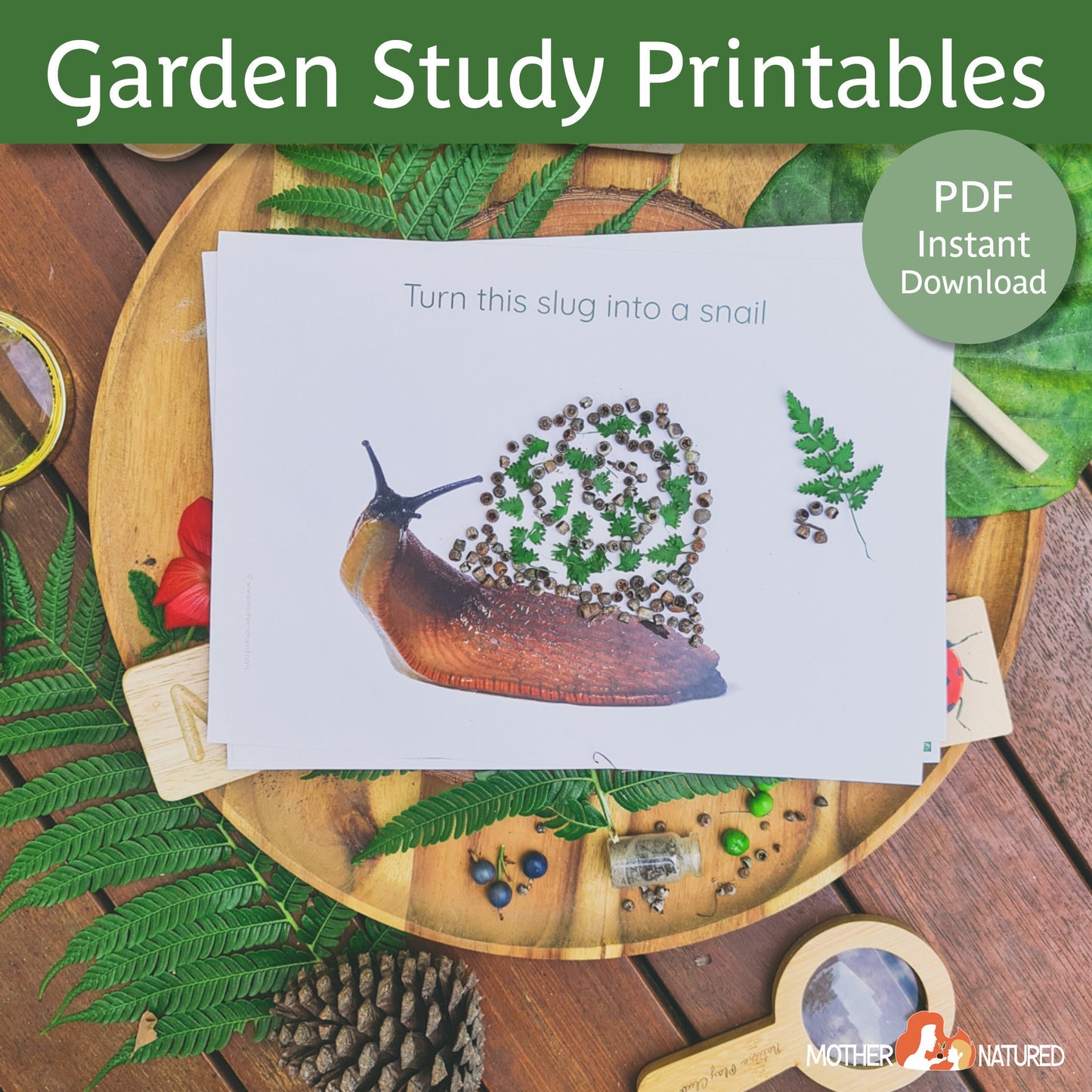 Garden Activity Printables for Kids | Garden Resources | Gardening with Kids | Gardening Resources for Schools | Vegetable Garden Printables