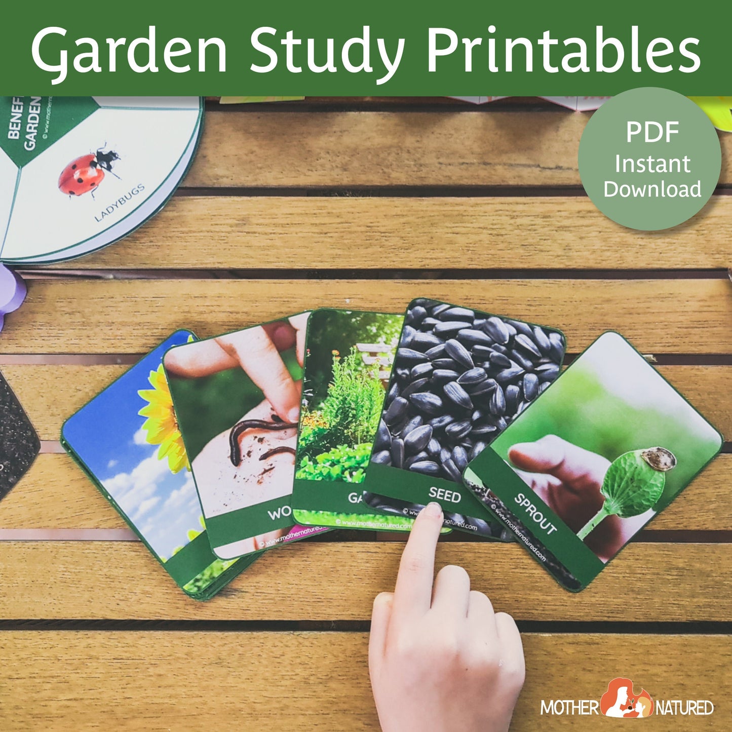 Garden Activity Printables for Kids | Garden Resources | Gardening with Kids | Gardening Resources for Schools | Vegetable Garden Printables