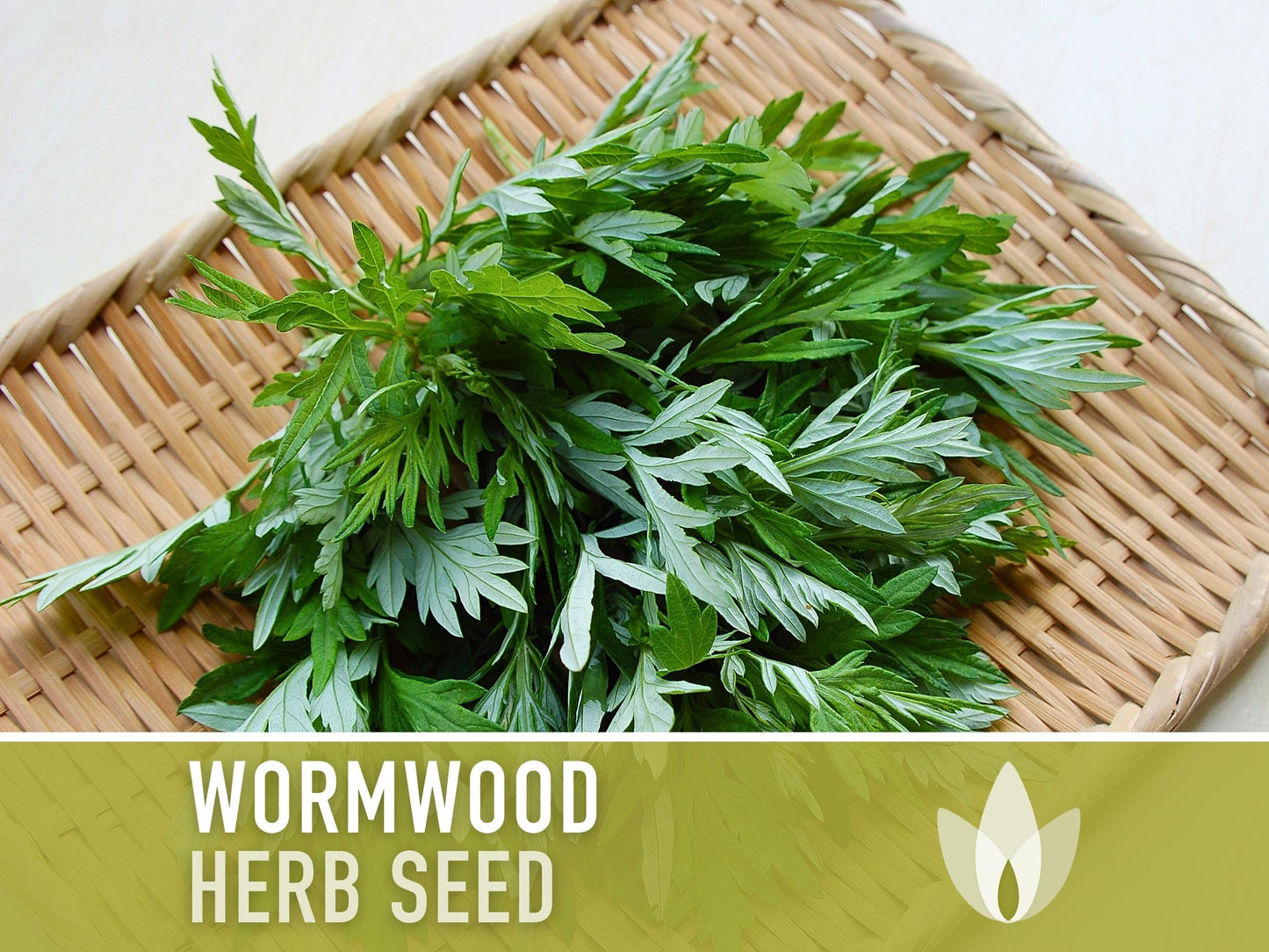 Wormwood Organic Medicinal Herb Seeds - Artemisia Absinthium, Heirloom, Non-GMO