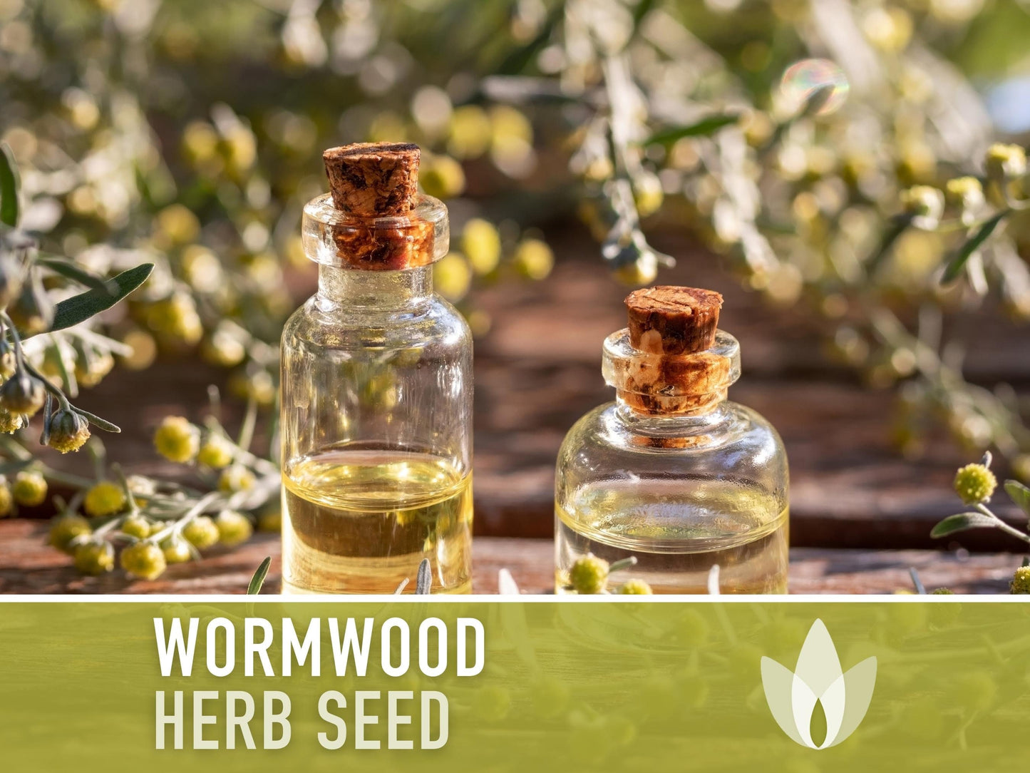 Wormwood Organic Medicinal Herb Seeds - Artemisia Absinthium, Heirloom, Non-GMO