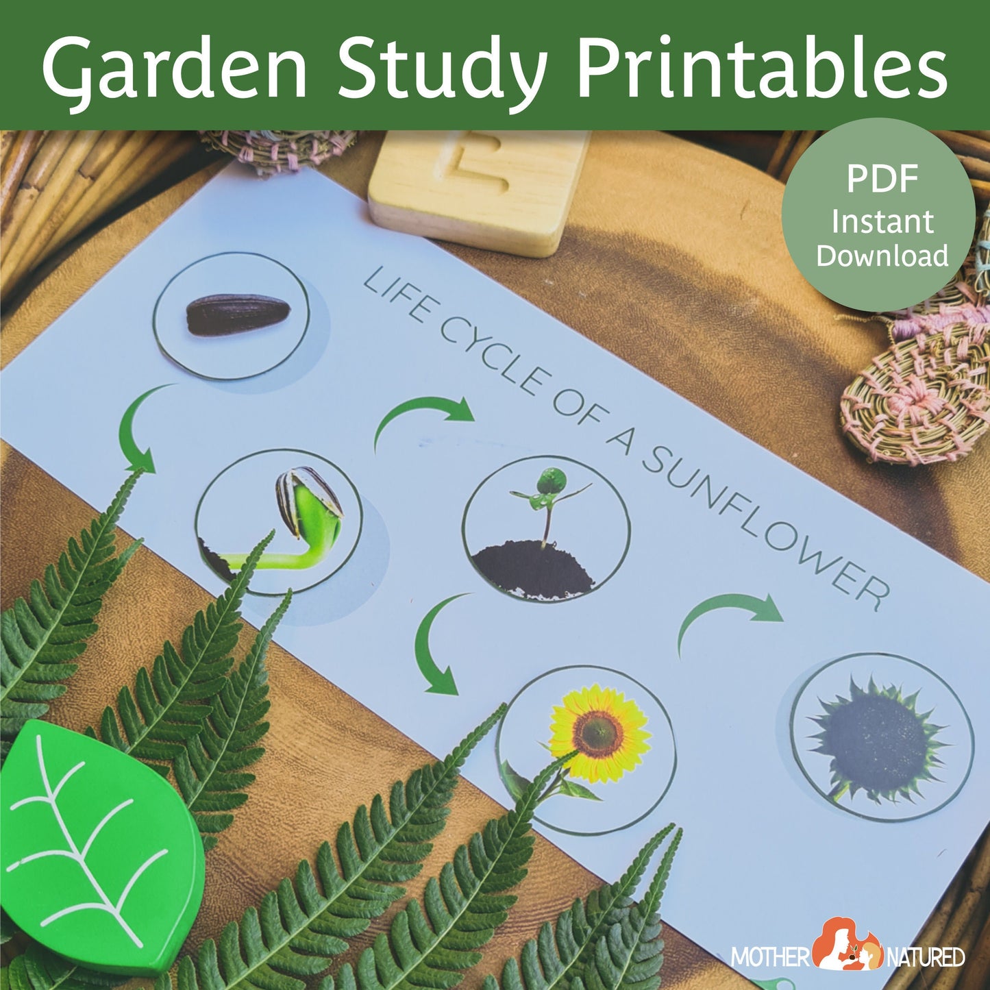 Garden Activity Printables for Kids | Garden Resources | Gardening with Kids | Gardening Resources for Schools | Vegetable Garden Printables