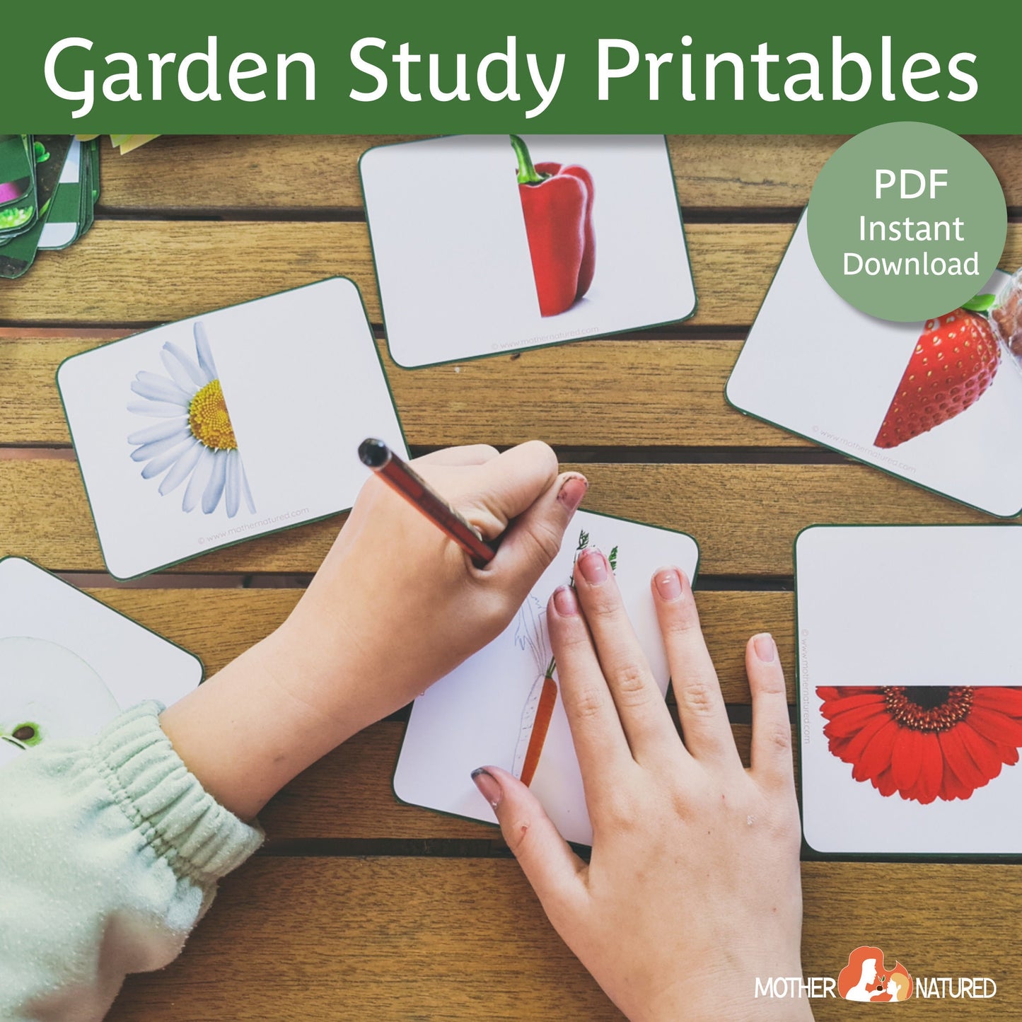 Garden Activity Printables for Kids | Garden Resources | Gardening with Kids | Gardening Resources for Schools | Vegetable Garden Printables