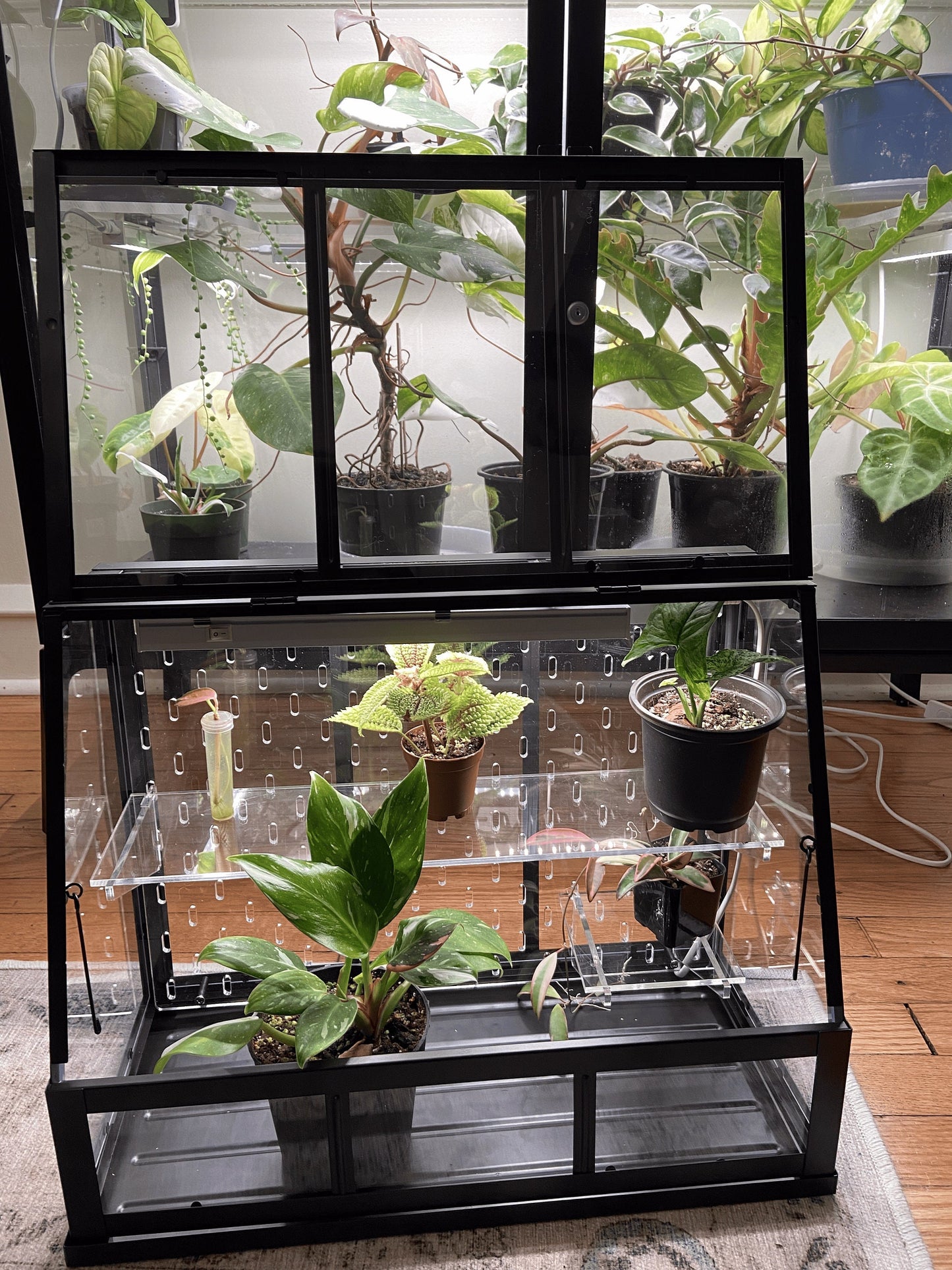 Akerbar Small Pegboard and Shelf Acrylic Kit - Ikea Greenhouse - SKADIS - 17" model