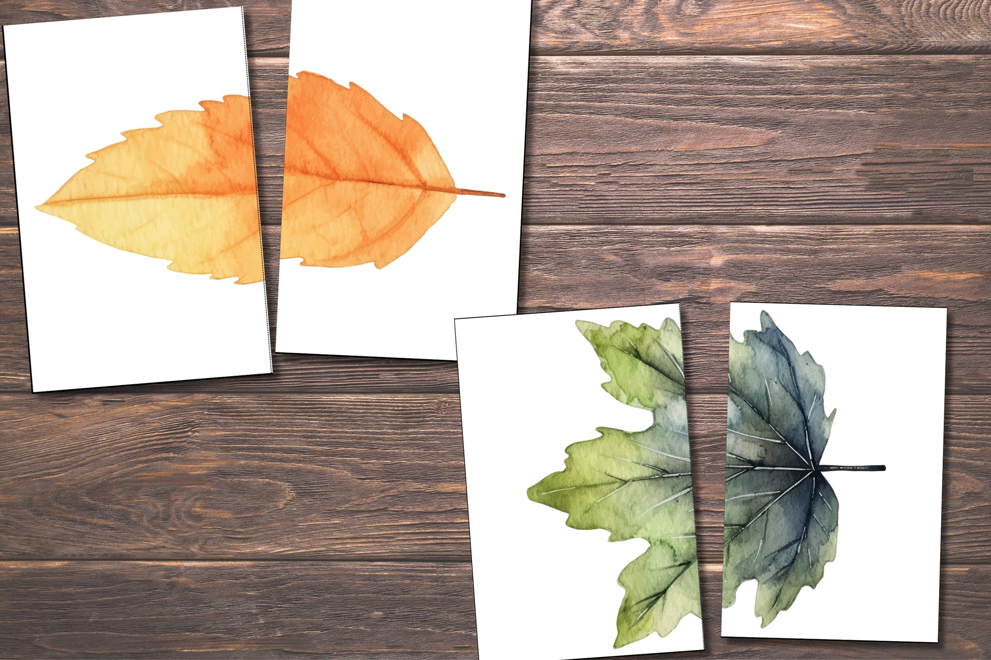 Matching Leaves, 20 Cards,Fall Activity for Kids, Toddler Activity, Homeschool Resource, Montessori Materials, Sensory Table Printable,