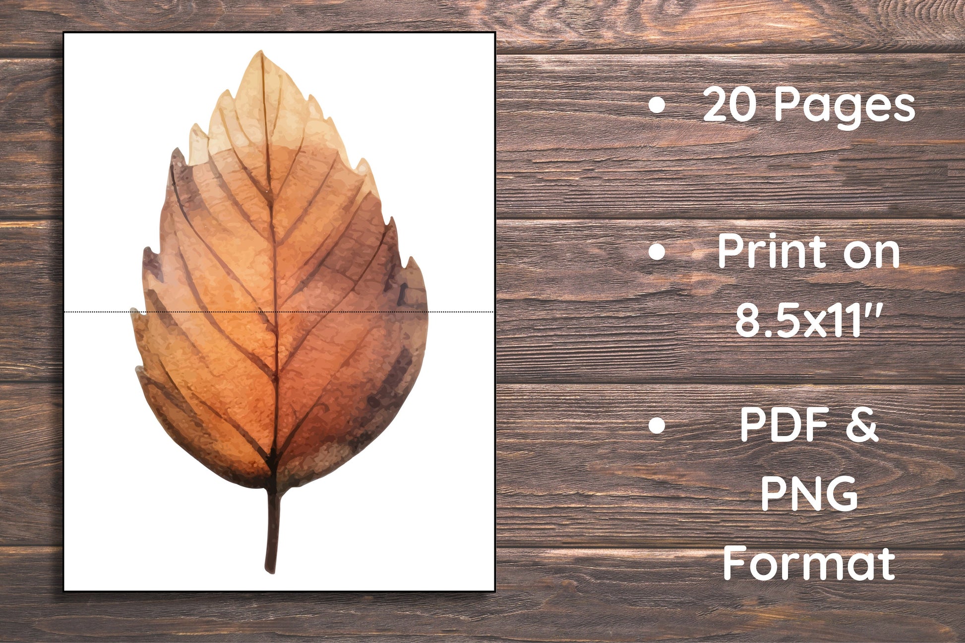 Matching Leaves, 20 Cards,Fall Activity for Kids, Toddler Activity, Homeschool Resource, Montessori Materials, Sensory Table Printable,