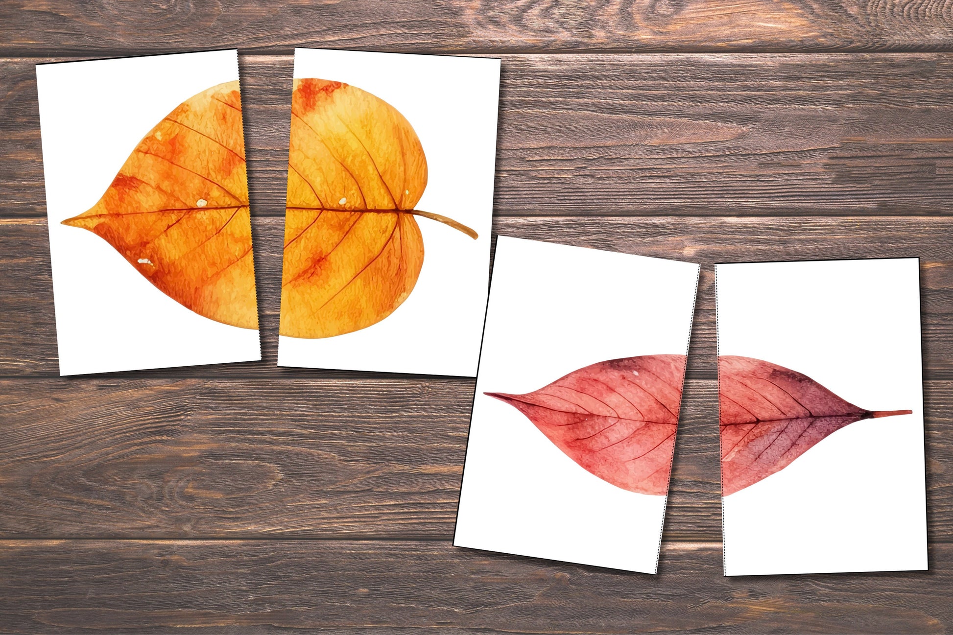 Matching Leaves, 20 Cards,Fall Activity for Kids, Toddler Activity, Homeschool Resource, Montessori Materials, Sensory Table Printable,