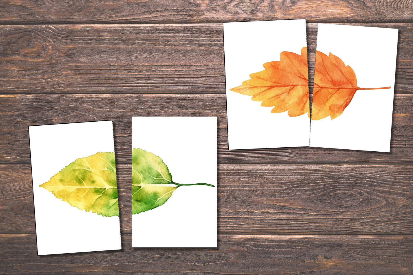 Matching Leaves, 20 Cards,Fall Activity for Kids, Toddler Activity, Homeschool Resource, Montessori Materials, Sensory Table Printable,