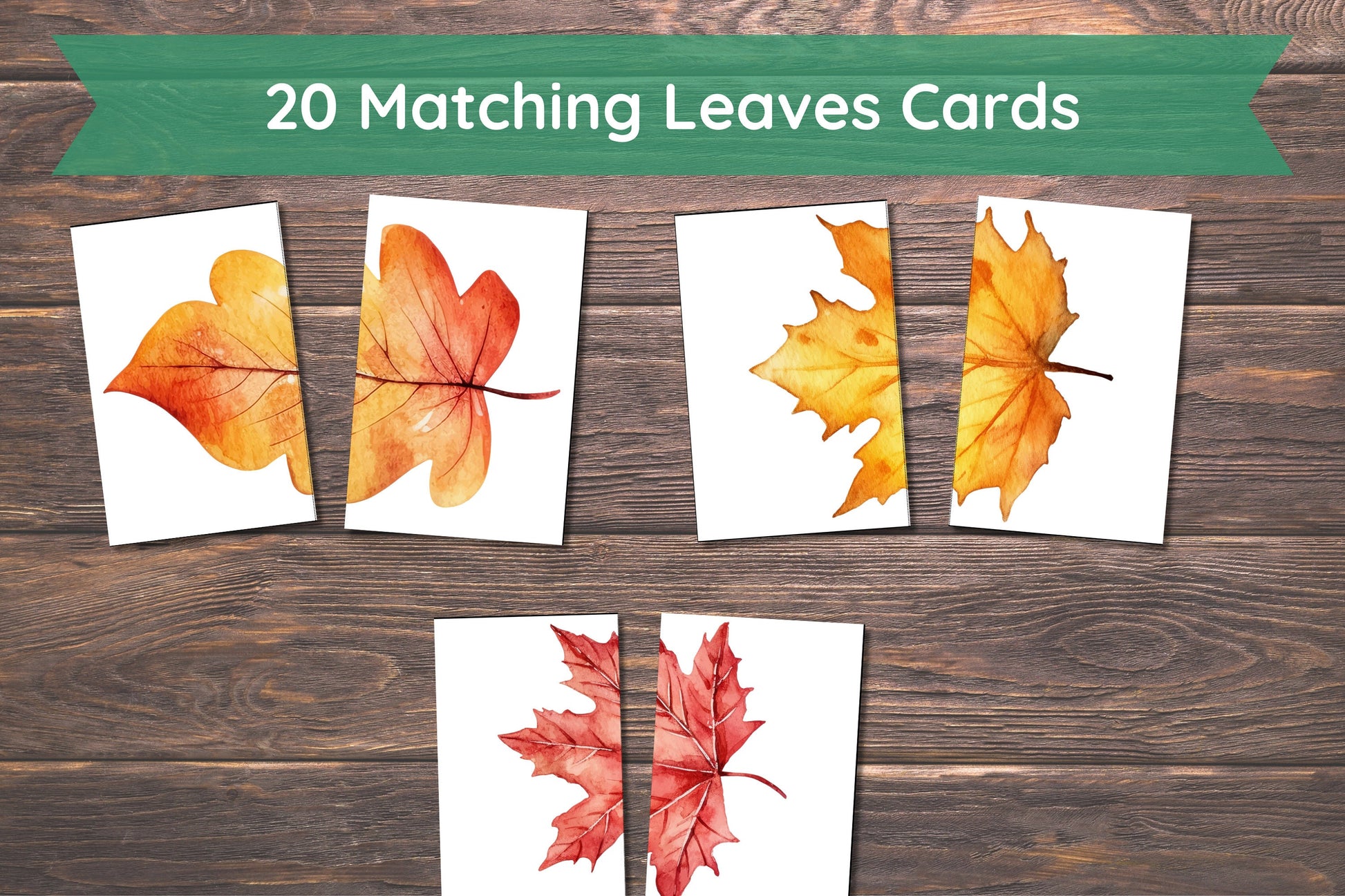Matching Leaves, 20 Cards,Fall Activity for Kids, Toddler Activity, Homeschool Resource, Montessori Materials, Sensory Table Printable,