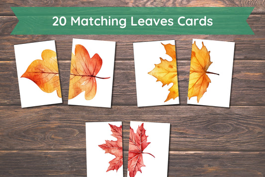 Matching Leaves, 20 Cards,Fall Activity for Kids, Toddler Activity, Homeschool Resource, Montessori Materials, Sensory Table Printable,