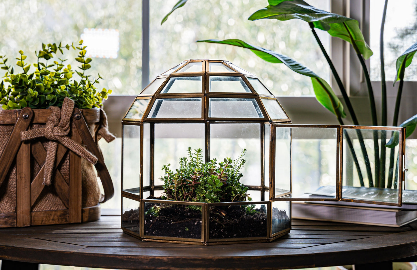 Urban Born Large Terrarium Birdcage, Glass and Metal Indoor Display Case, Unique Gift Idea, Succulent Container, Orchid Planter, Home Decor.