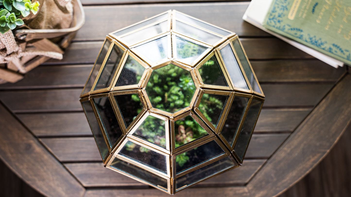 Urban Born Large Terrarium Birdcage, Glass and Metal Indoor Display Case, Unique Gift Idea, Succulent Container, Orchid Planter, Home Decor.