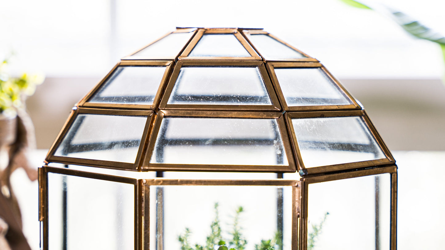 Urban Born Large Terrarium Birdcage, Glass and Metal Indoor Display Case, Unique Gift Idea, Succulent Container, Orchid Planter, Home Decor.