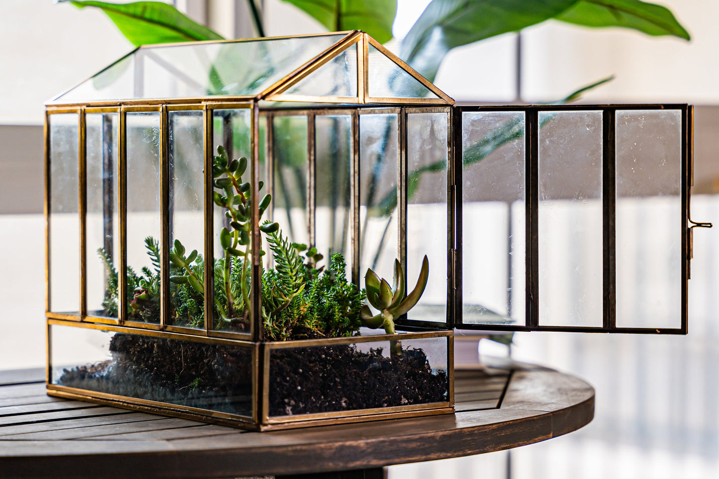 Urban Born Large Terrarium Greenhouse, Glass Metal, Indoor Display Case, Unique Gift Idea, Succulent Container, Orchid Planter, Home Decor.