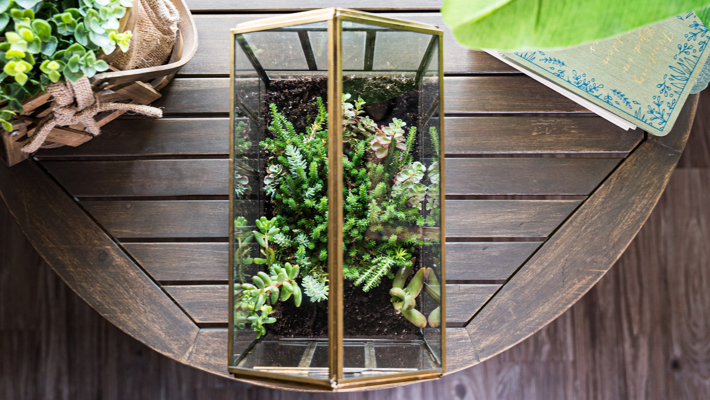 Urban Born Large Terrarium Greenhouse, Glass Metal, Indoor Display Case, Unique Gift Idea, Succulent Container, Orchid Planter, Home Decor.
