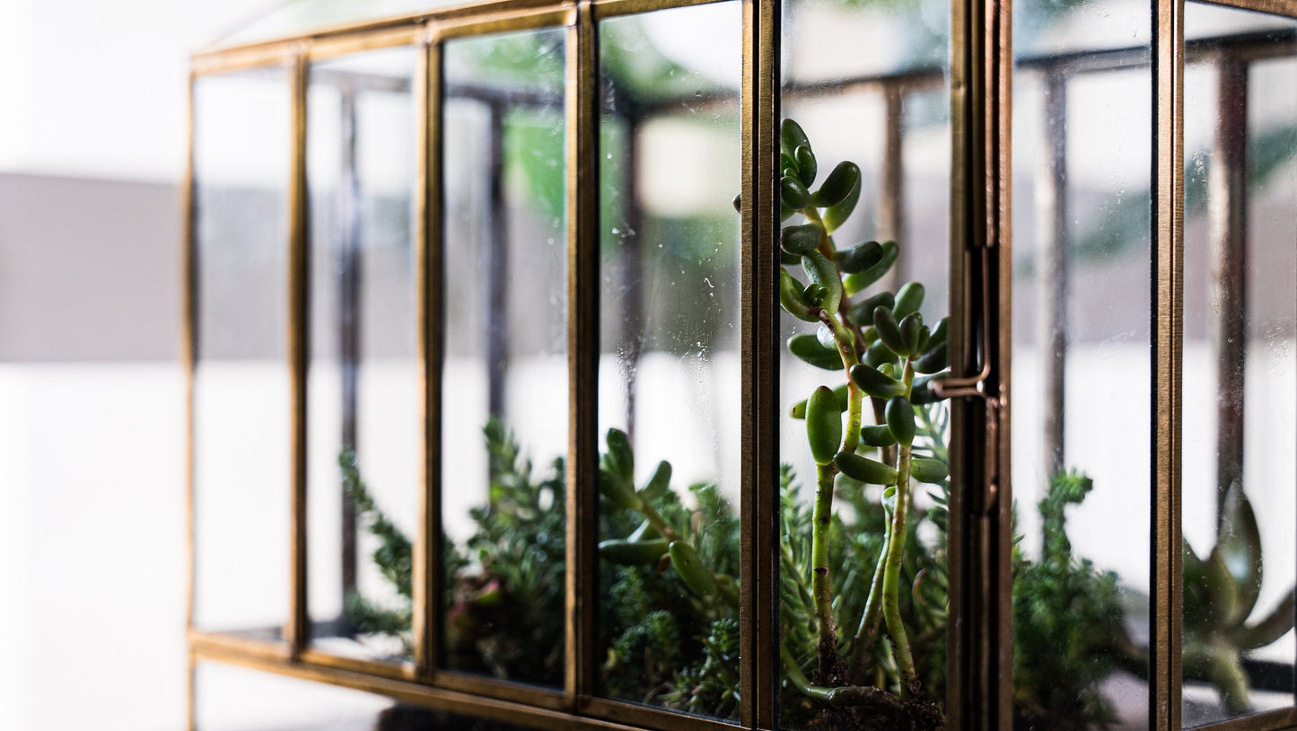 Urban Born Large Terrarium Greenhouse, Glass Metal, Indoor Display Case, Unique Gift Idea, Succulent Container, Orchid Planter, Home Decor.