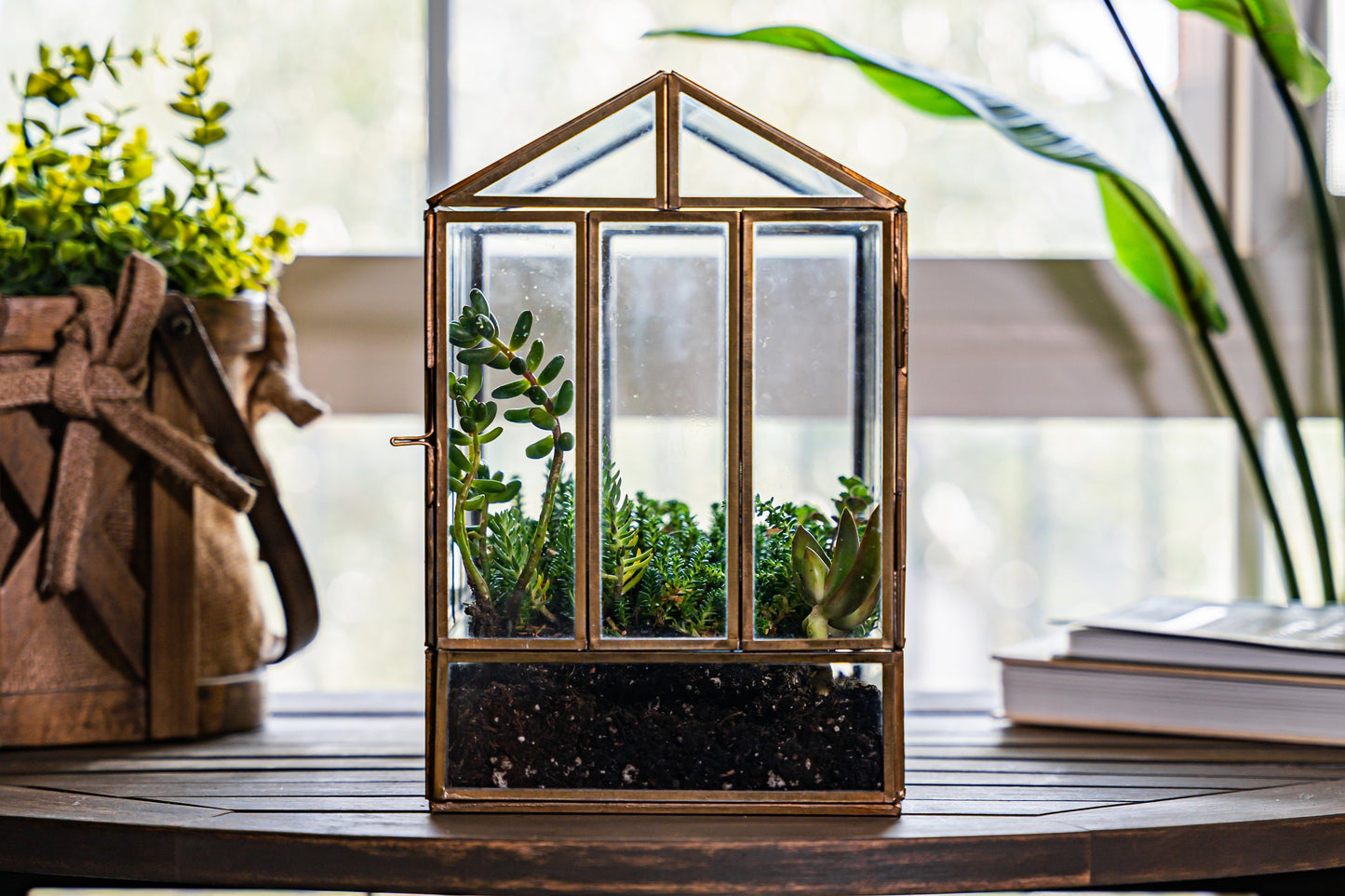 Urban Born Large Terrarium Greenhouse, Glass Metal, Indoor Display Case, Unique Gift Idea, Succulent Container, Orchid Planter, Home Decor.