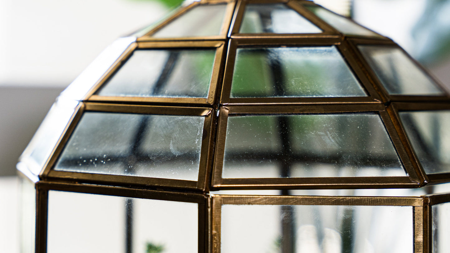 Urban Born Large Terrarium Birdcage, Glass and Metal Indoor Display Case, Unique Gift Idea, Succulent Container, Orchid Planter, Home Decor.