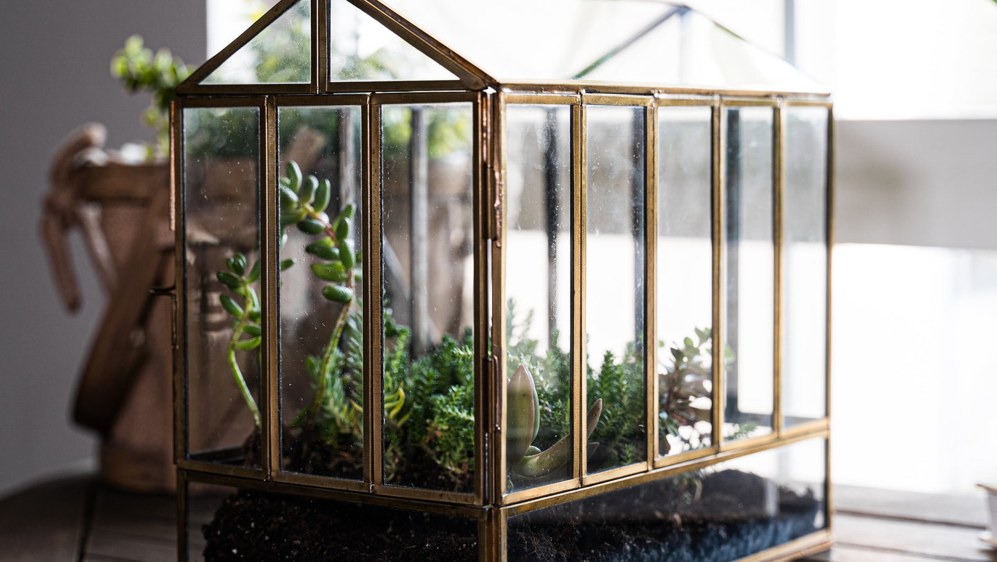 Urban Born Large Terrarium Greenhouse, Glass Metal, Indoor Display Case, Unique Gift Idea, Succulent Container, Orchid Planter, Home Decor.